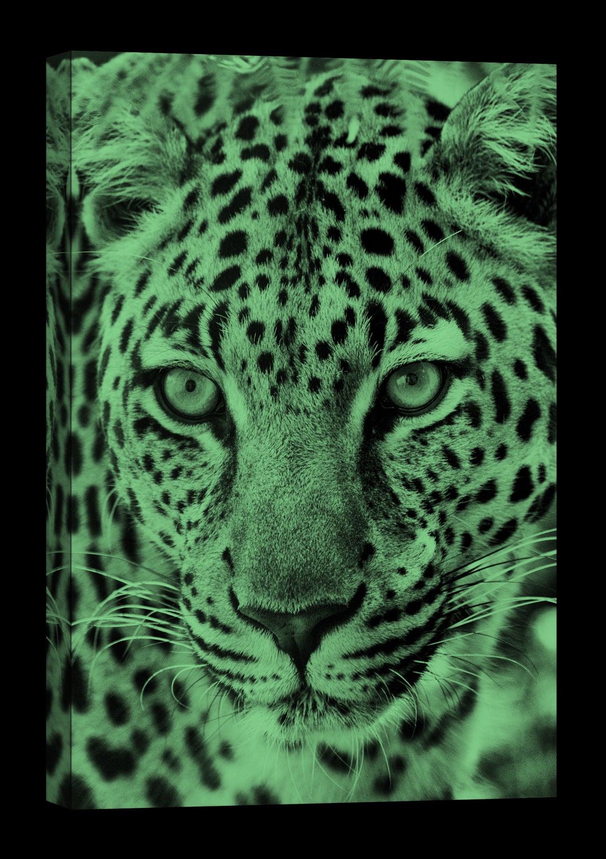 Animals No. 007, glowing at night
