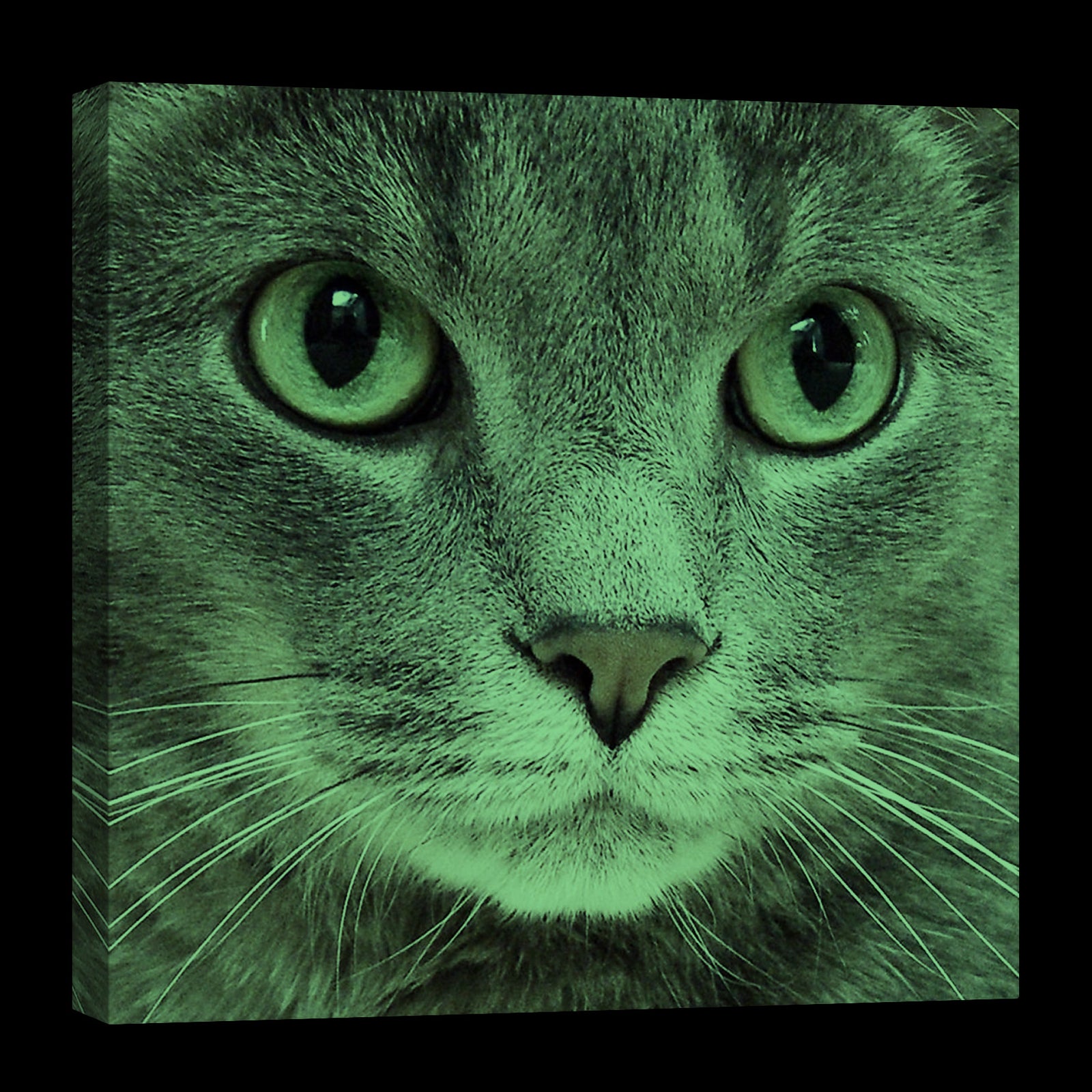 Animals No. 008, glowing at night