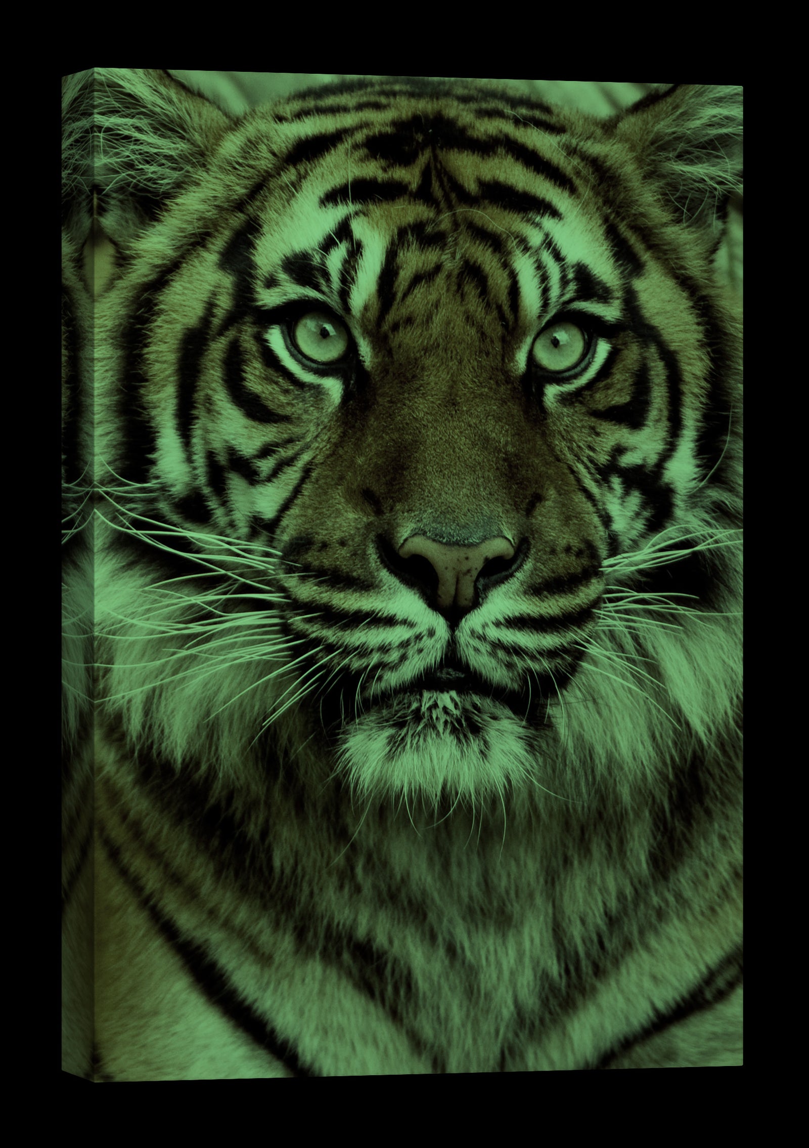 Animals No. 009, glowing at night