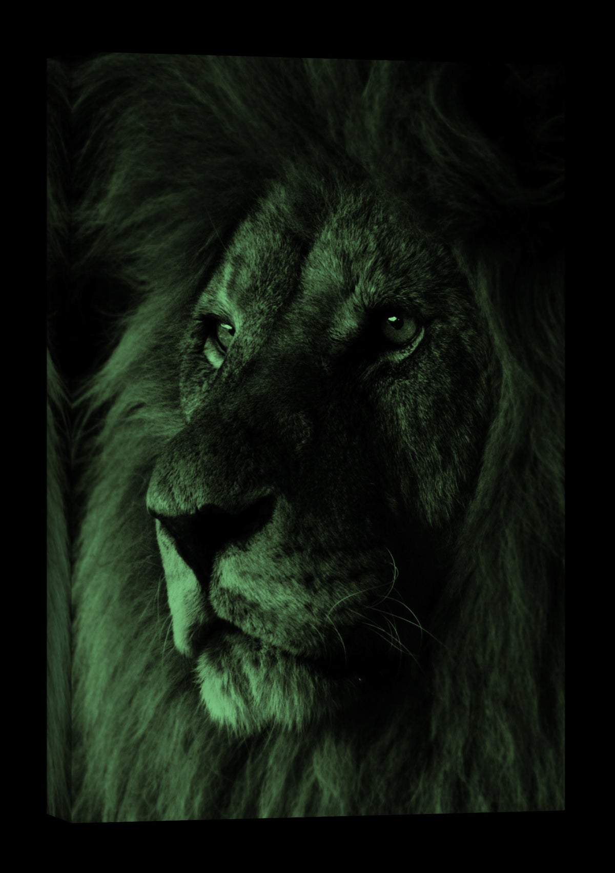 Animals No. 010, glowing at night