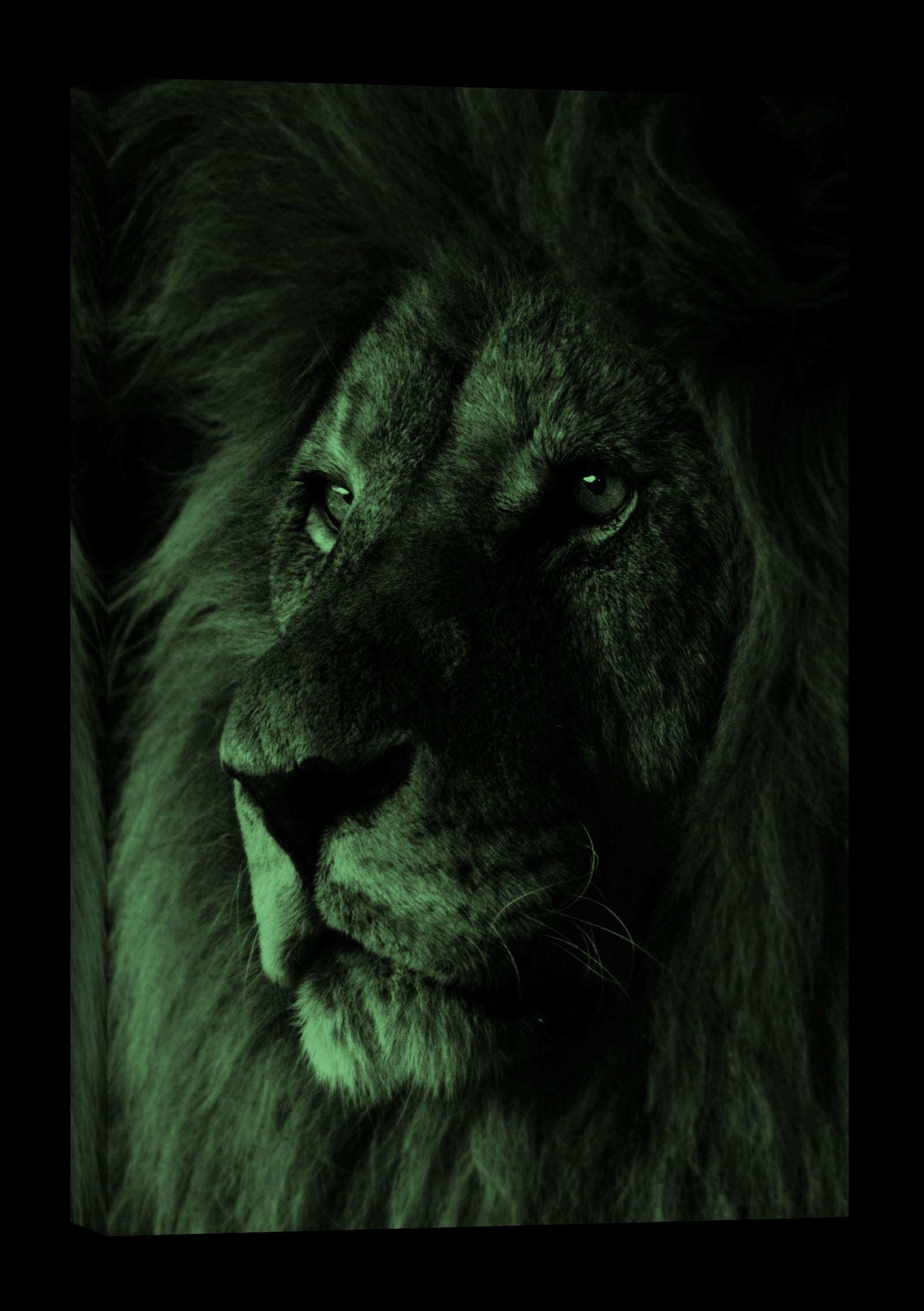 Animals No. 010, glowing at night