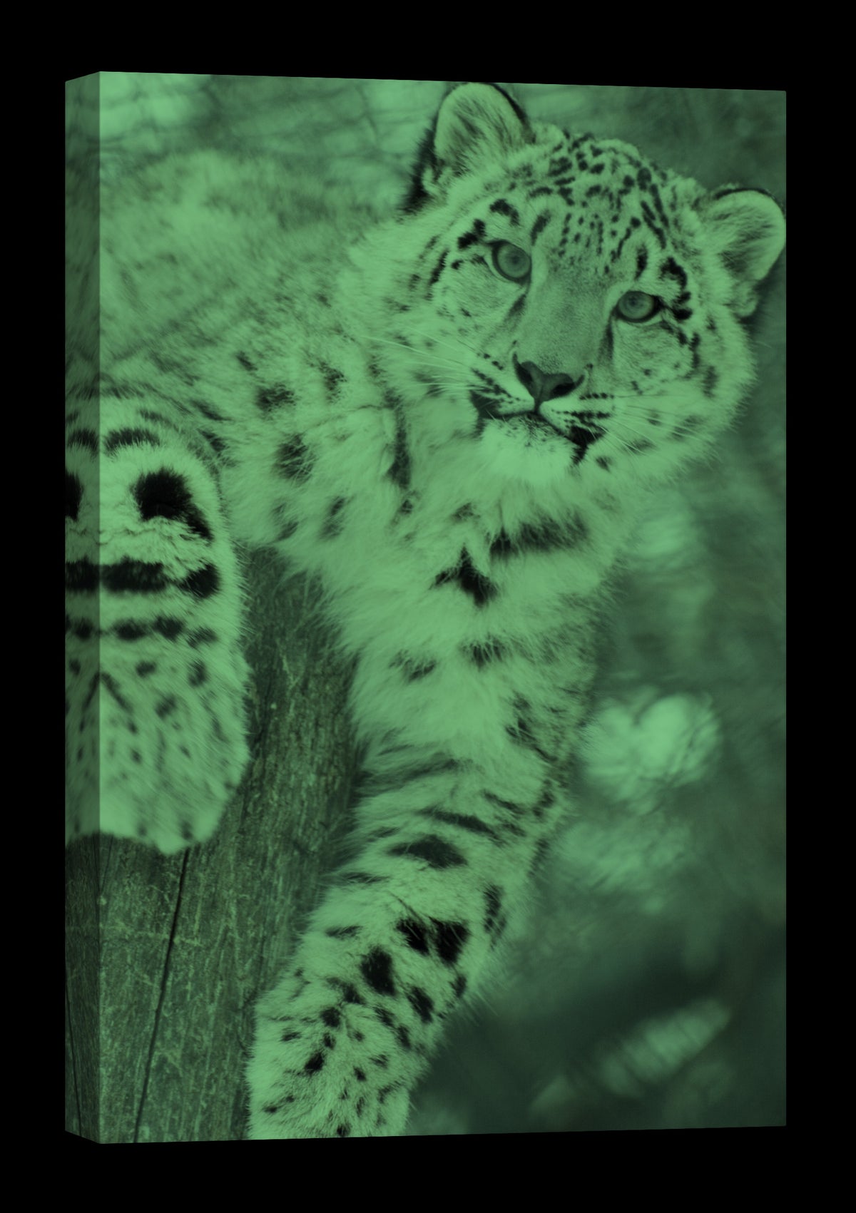 Animals No. 011, glowing at night