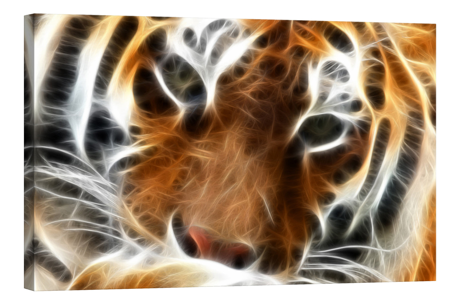 Animals No. 013, by day