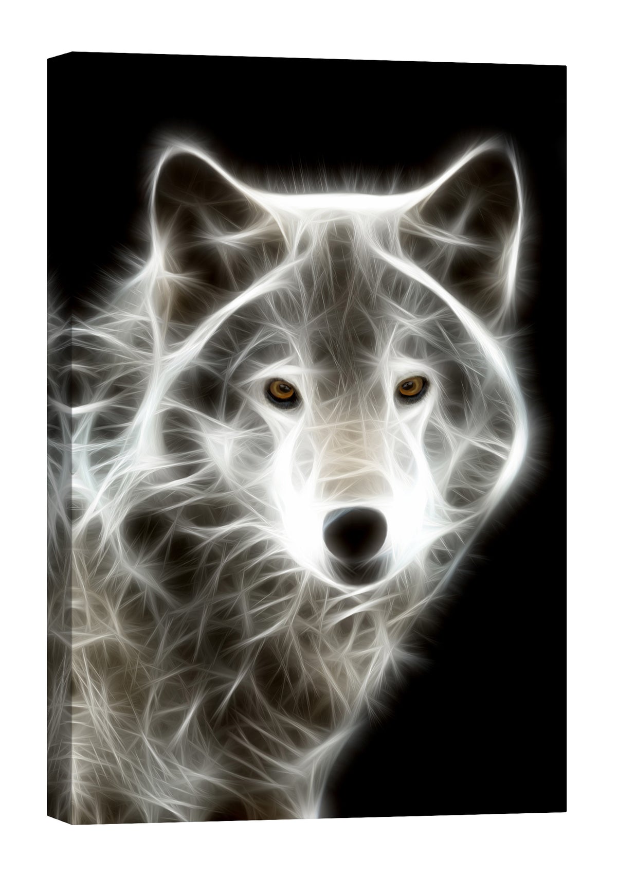 Animals No. 017, by day