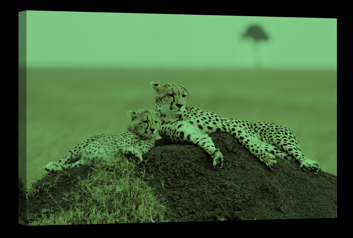 Animals No. 018, glowing at night