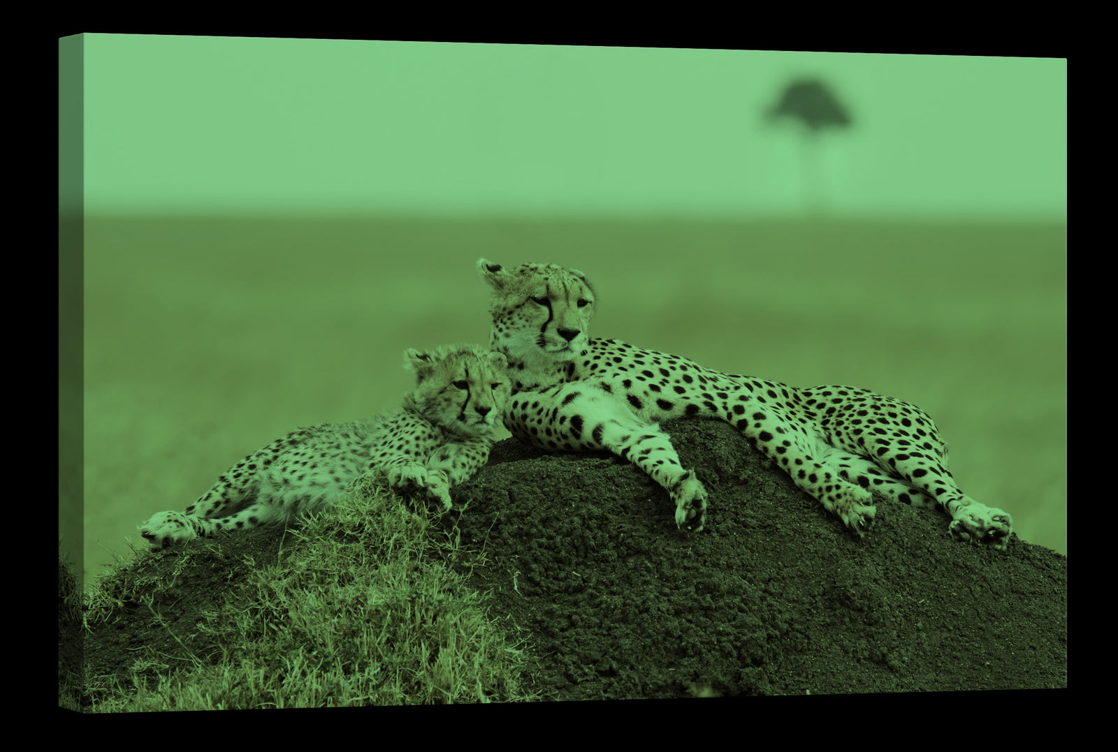 Animals No. 018, glowing at night