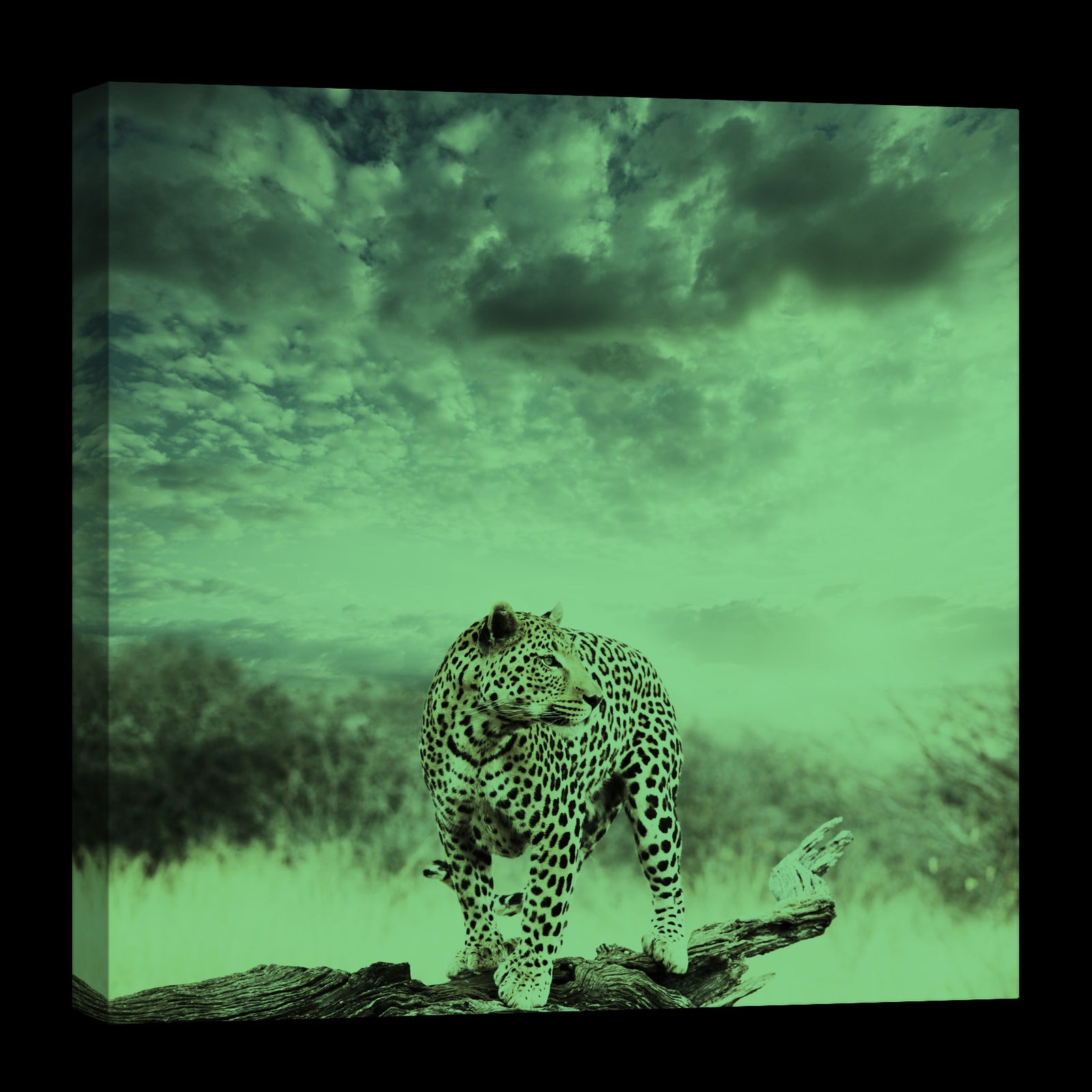 Animals No. 019, glowing at night