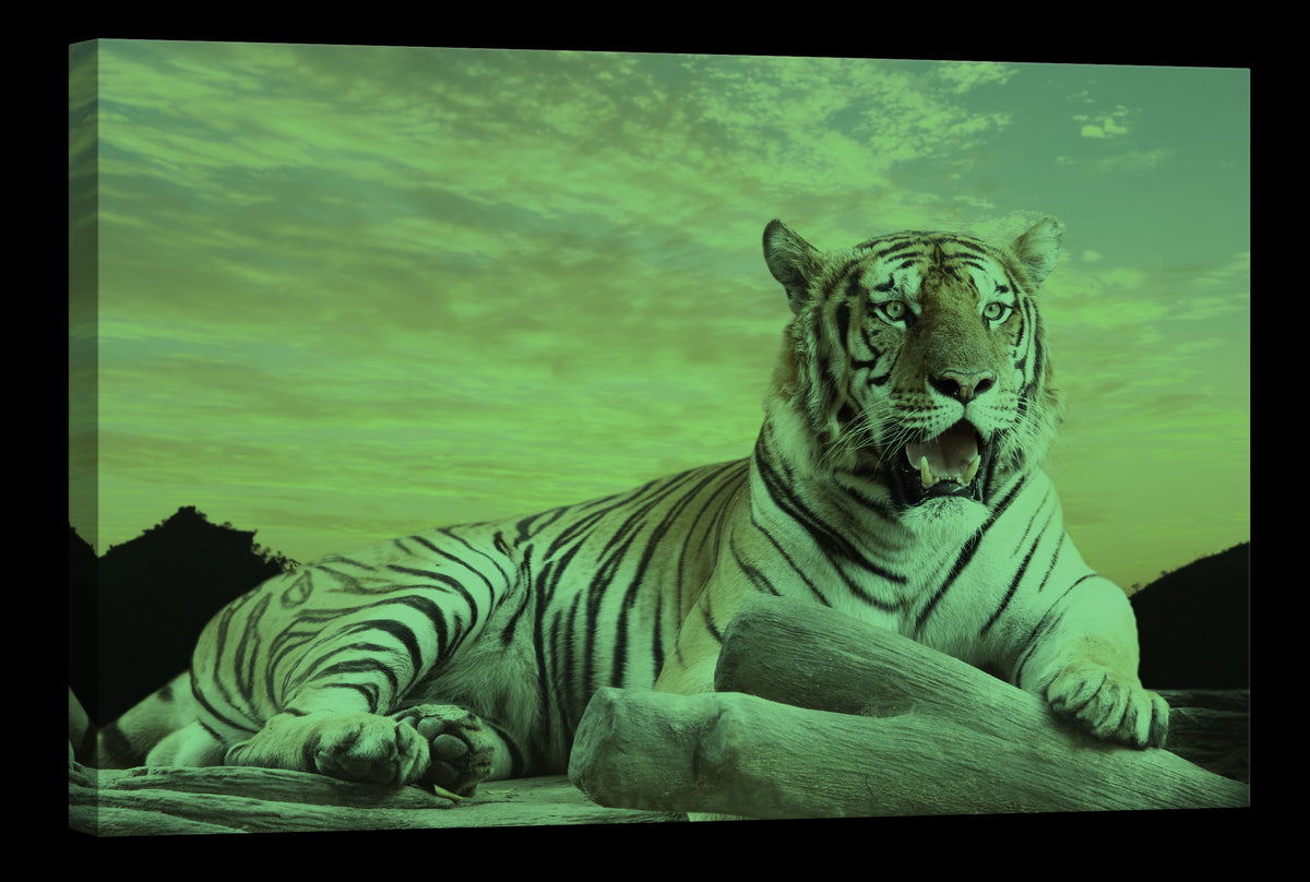 Animals No. 021, glowing at night
