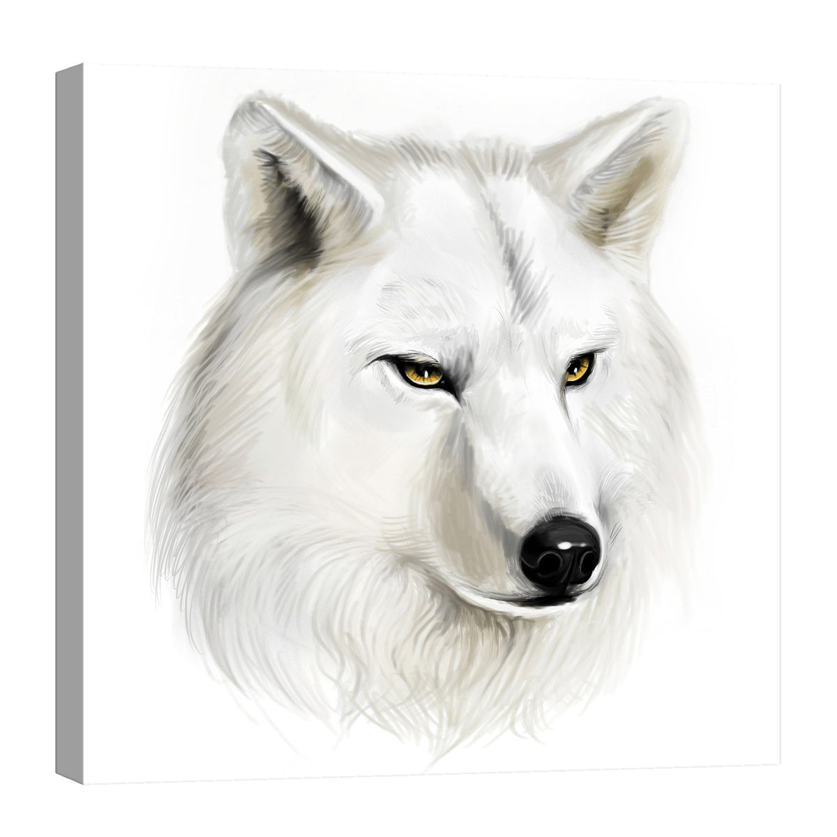 Animals No. 022, by day