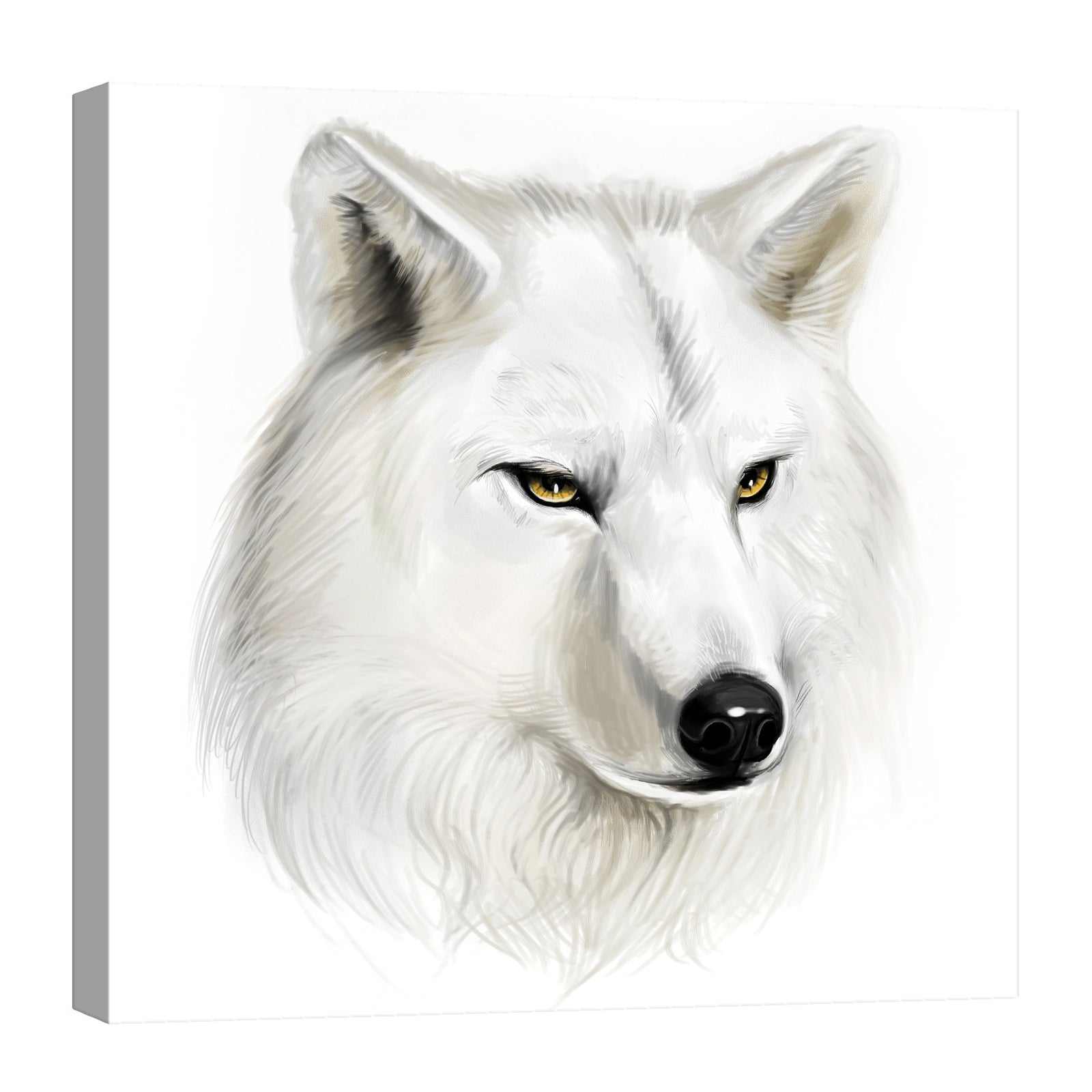 Animals No. 022, by day