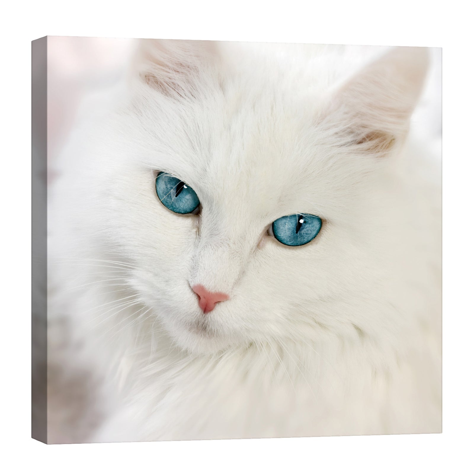 Animals No. 024, by day