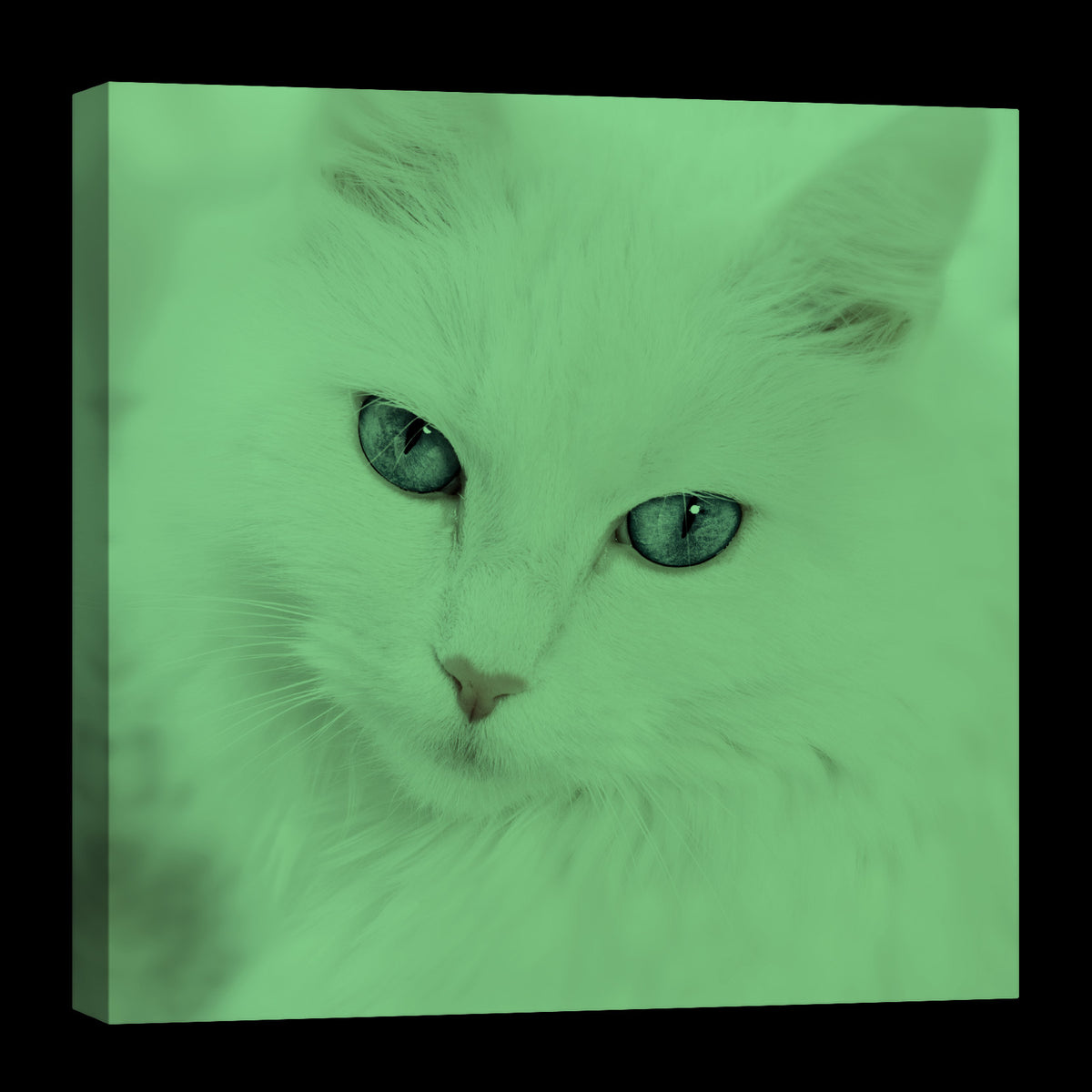 Animals No. 024, glowing at night