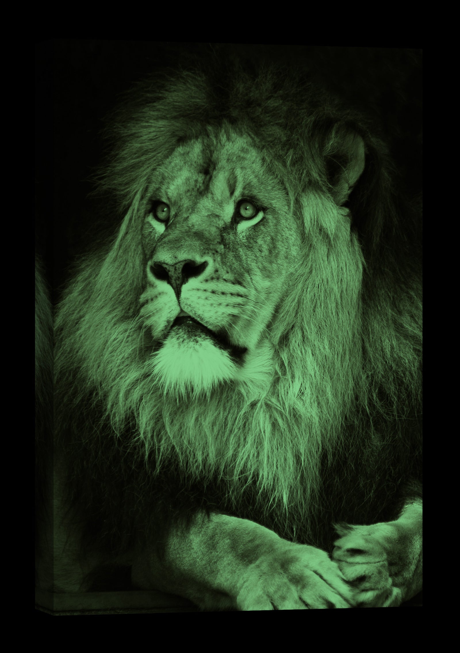 Animals No. 027, glowing at night