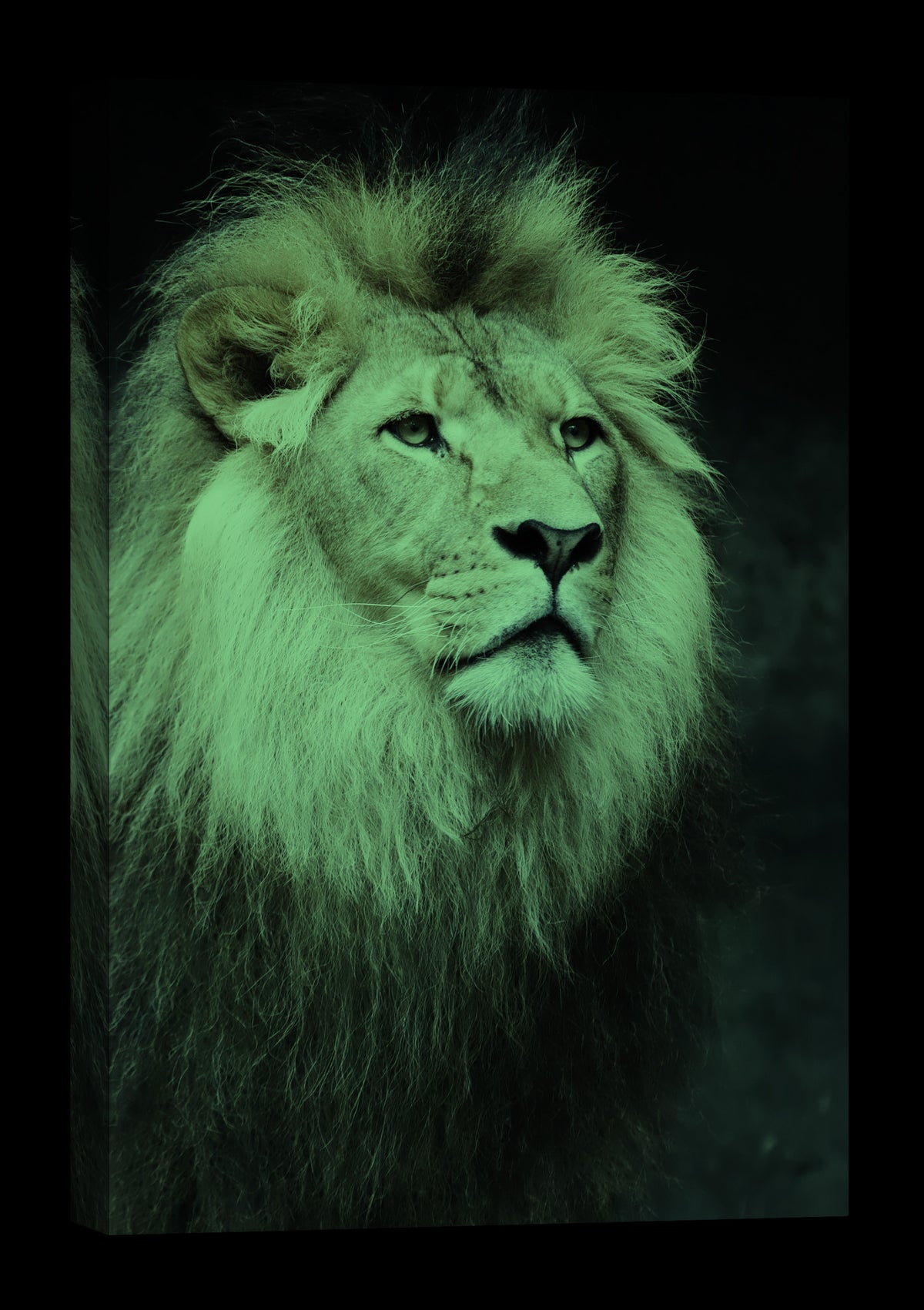 Animals No. 028, glowing at night