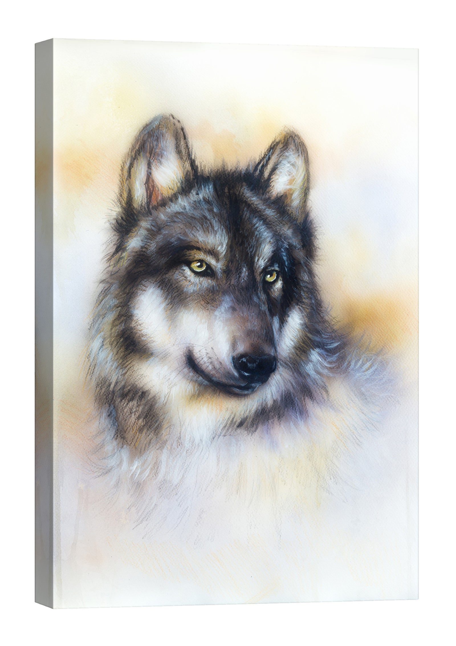 Animals No. 037, by day
