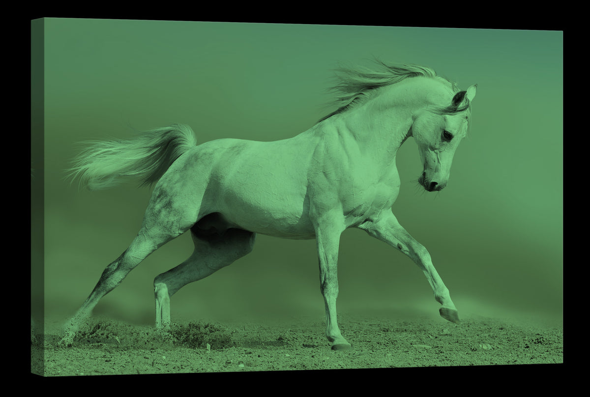 Animals No. 038, glowing at night