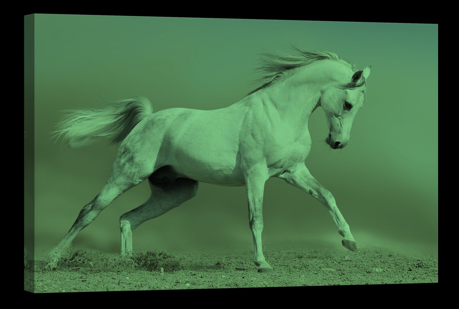 Animals No. 038, glowing at night