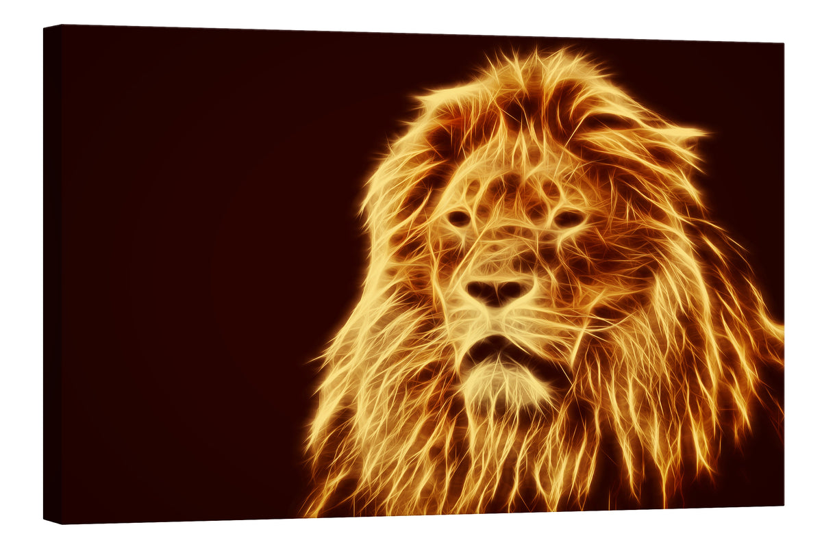 Animals No. 039, by day