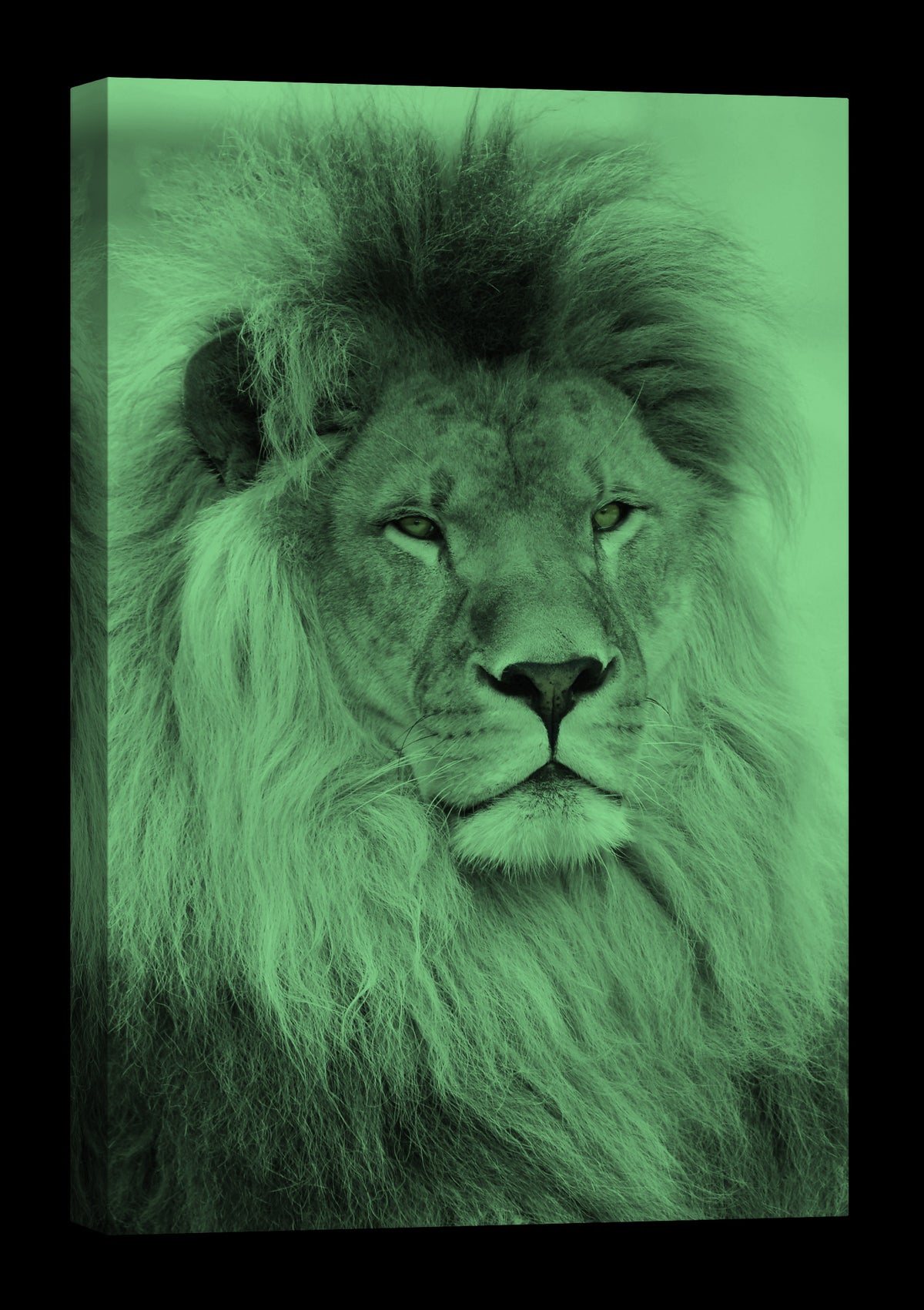 Animals No. 040, glowing at night