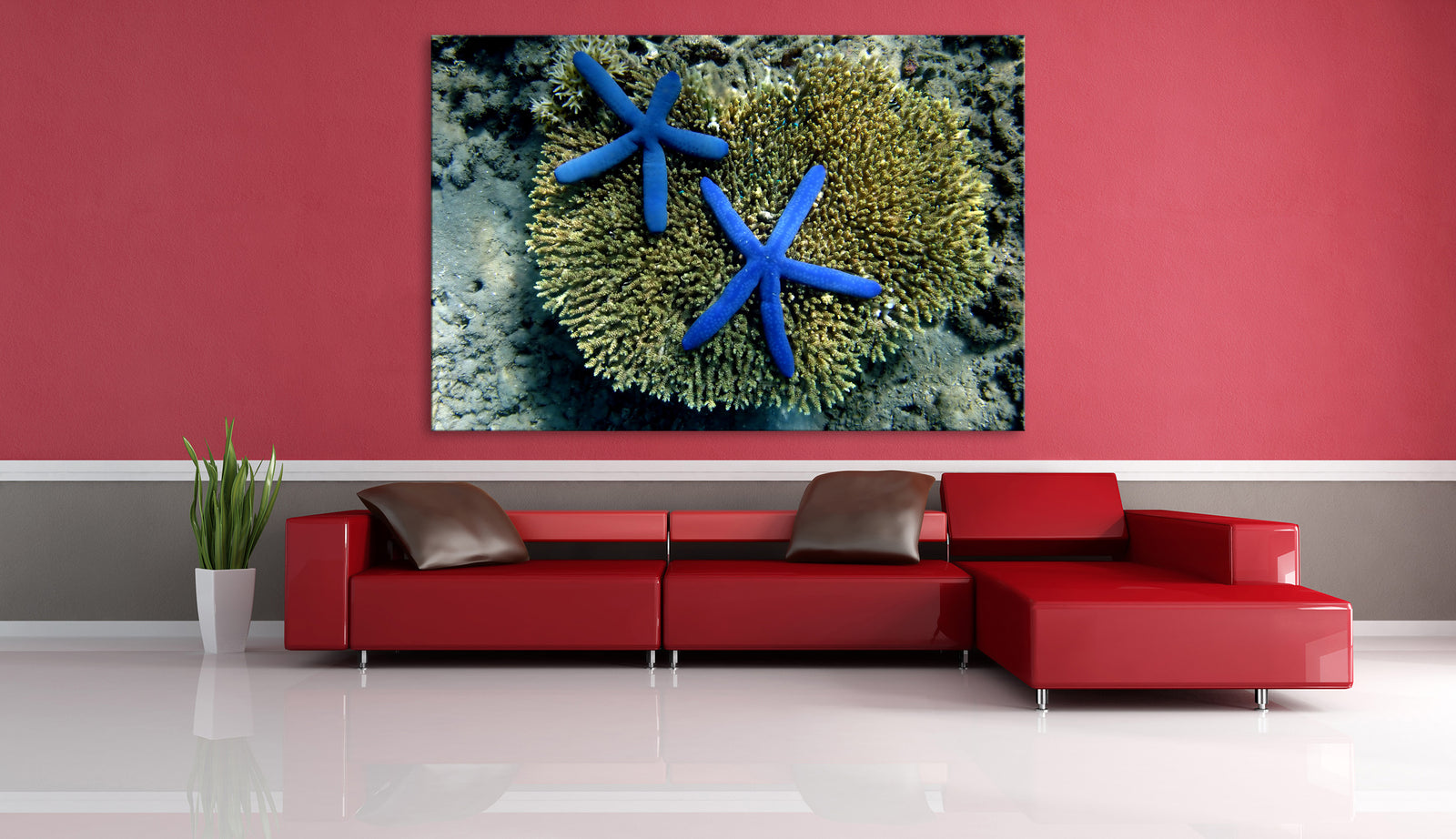 Animals No. 044, shown framed in a room by day