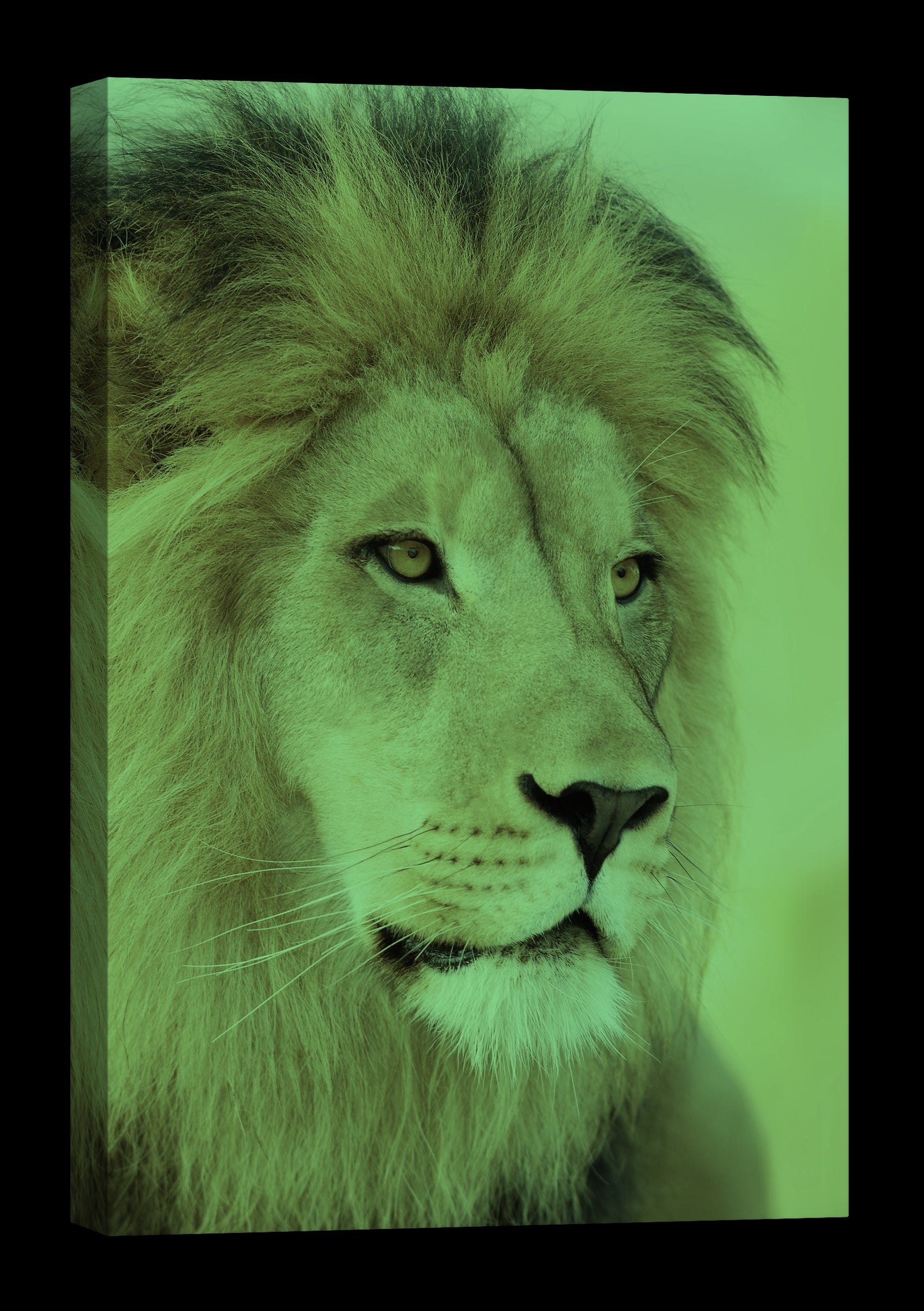 Animals No. 046, glowing at night