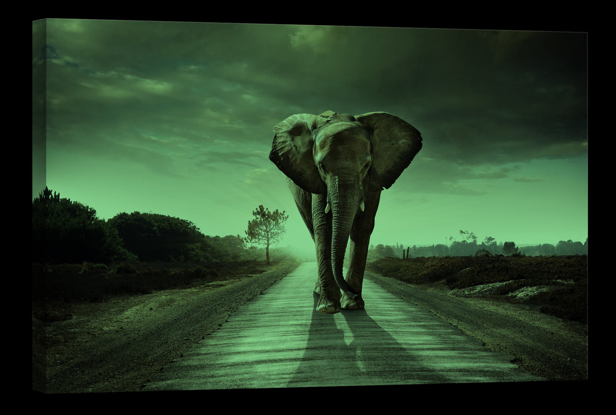 Animals No. 053, glowing at night