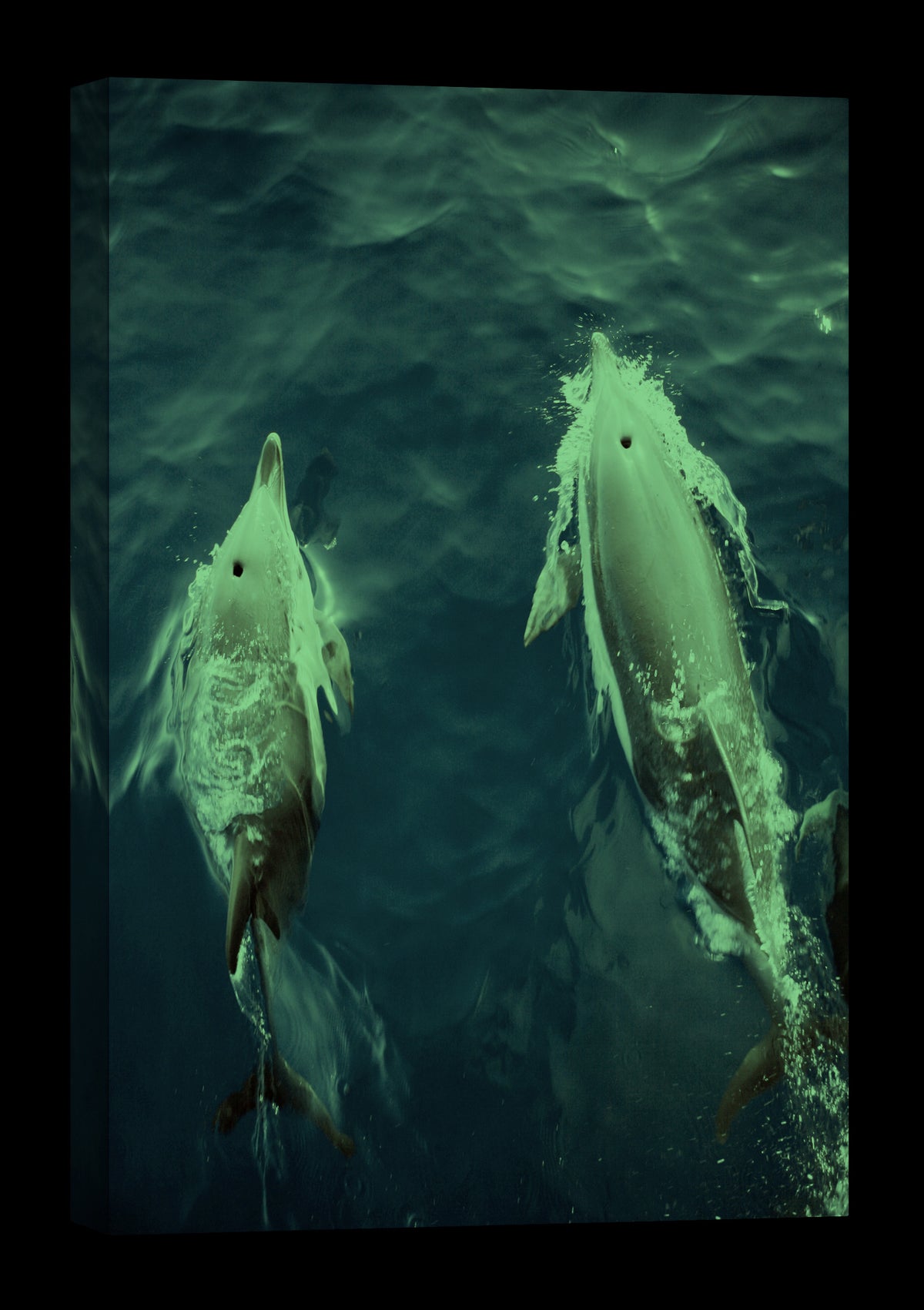 Animals No. 055, glowing at night
