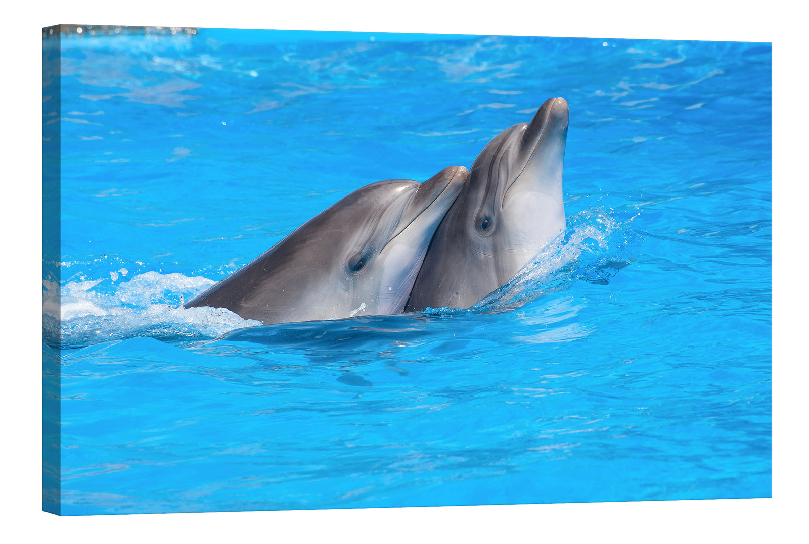 Animals No. 059, by day