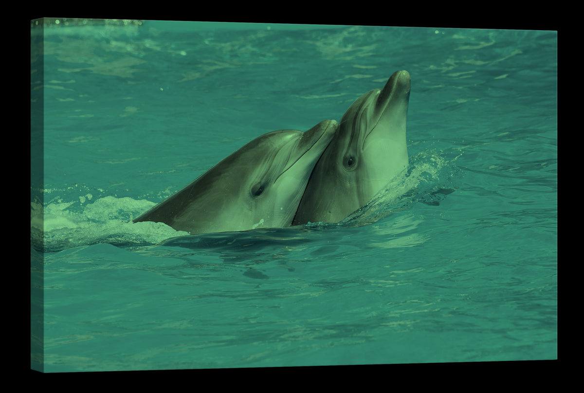 Animals No. 059, glowing at night