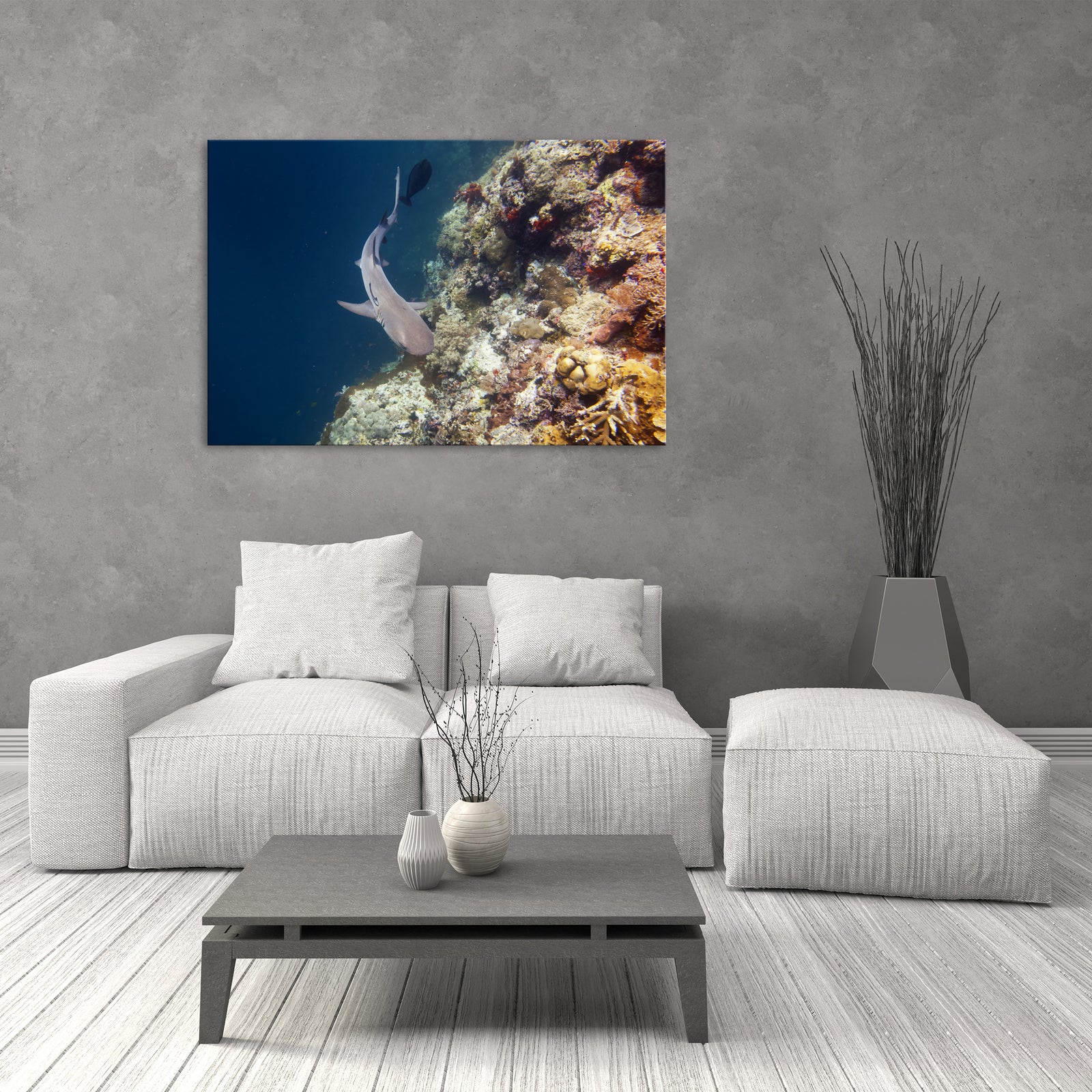 Animals No. 062, shown framed in a room by day