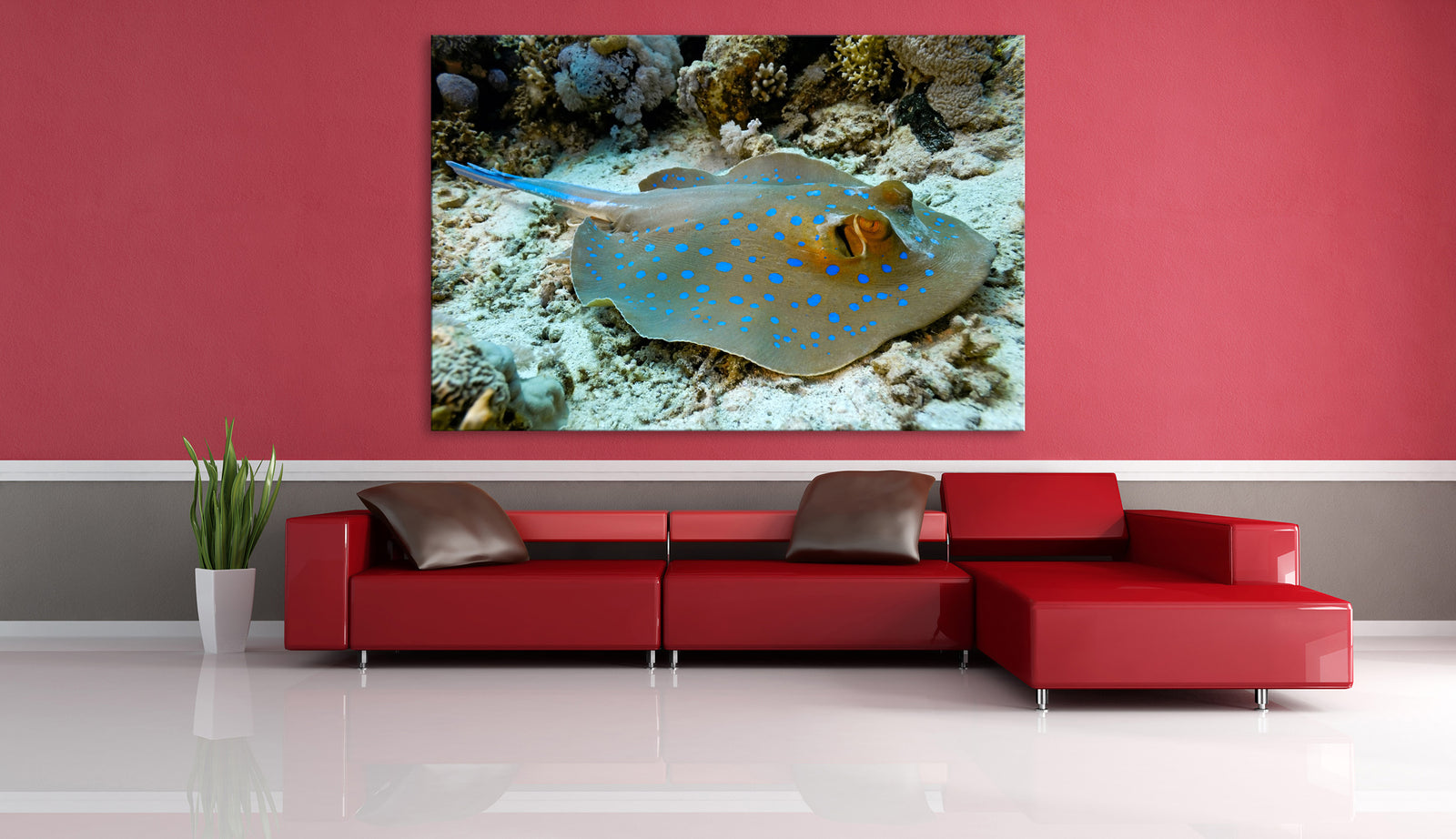 Animals No. 064, shown framed in a room by day