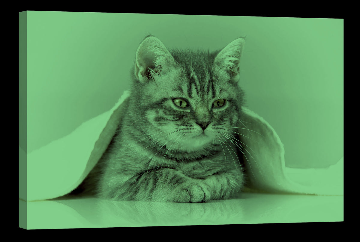 Animals No. 070, glowing at night