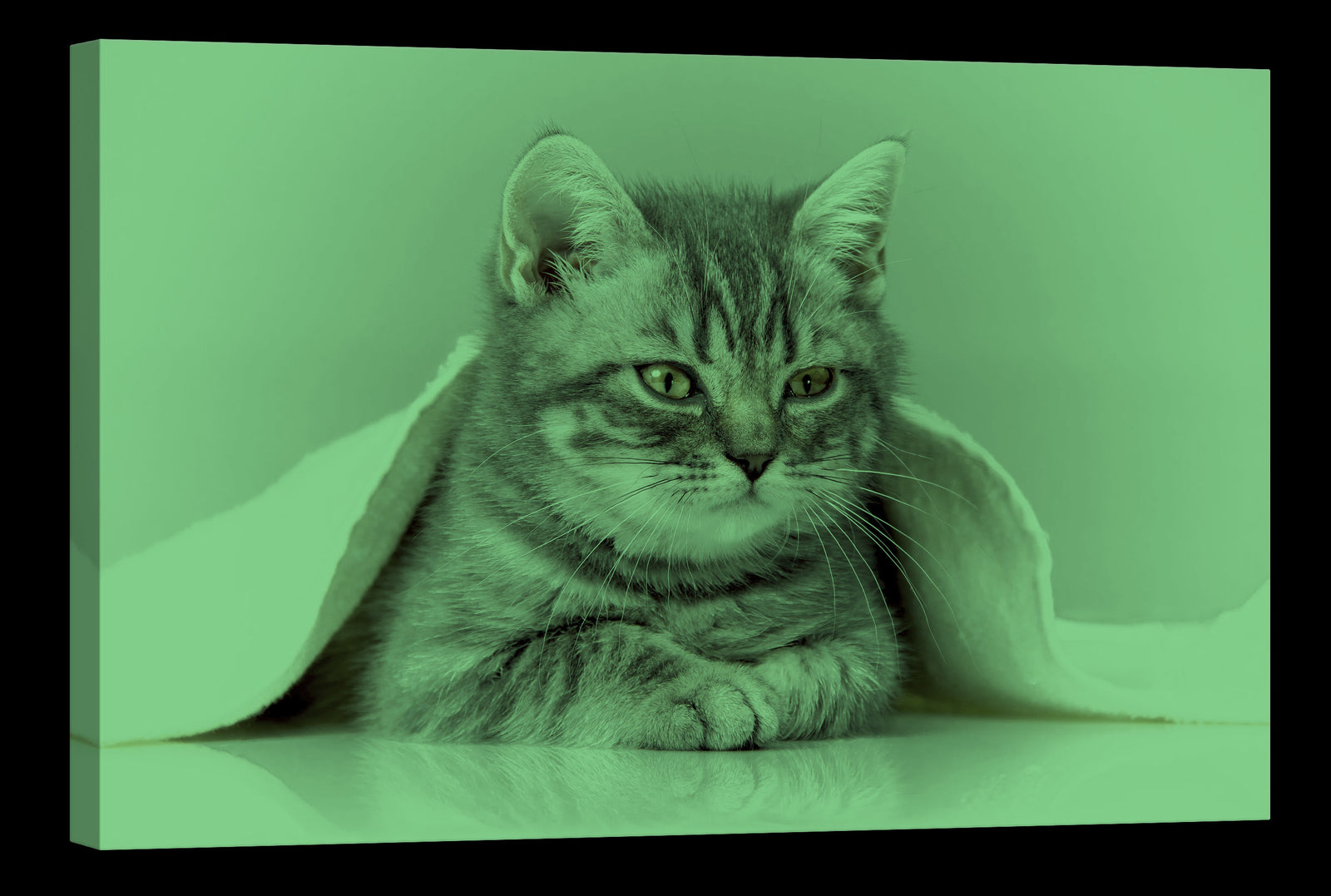 Animals No. 070, glowing at night
