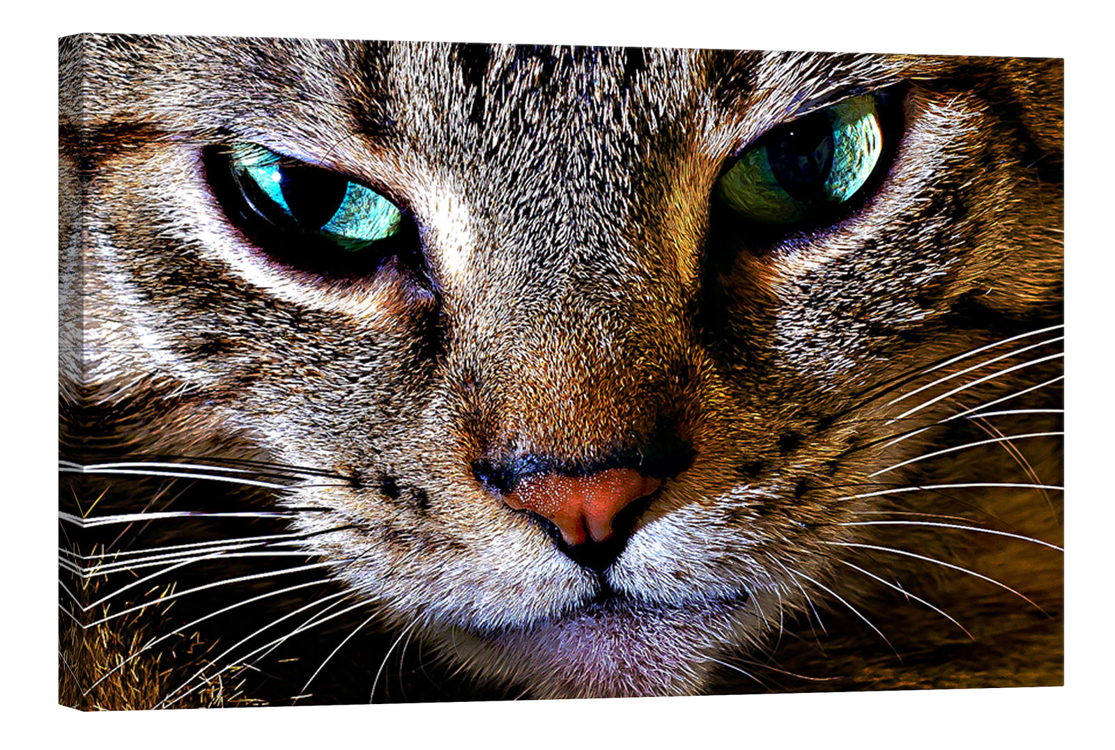 Animals No. 072, by day