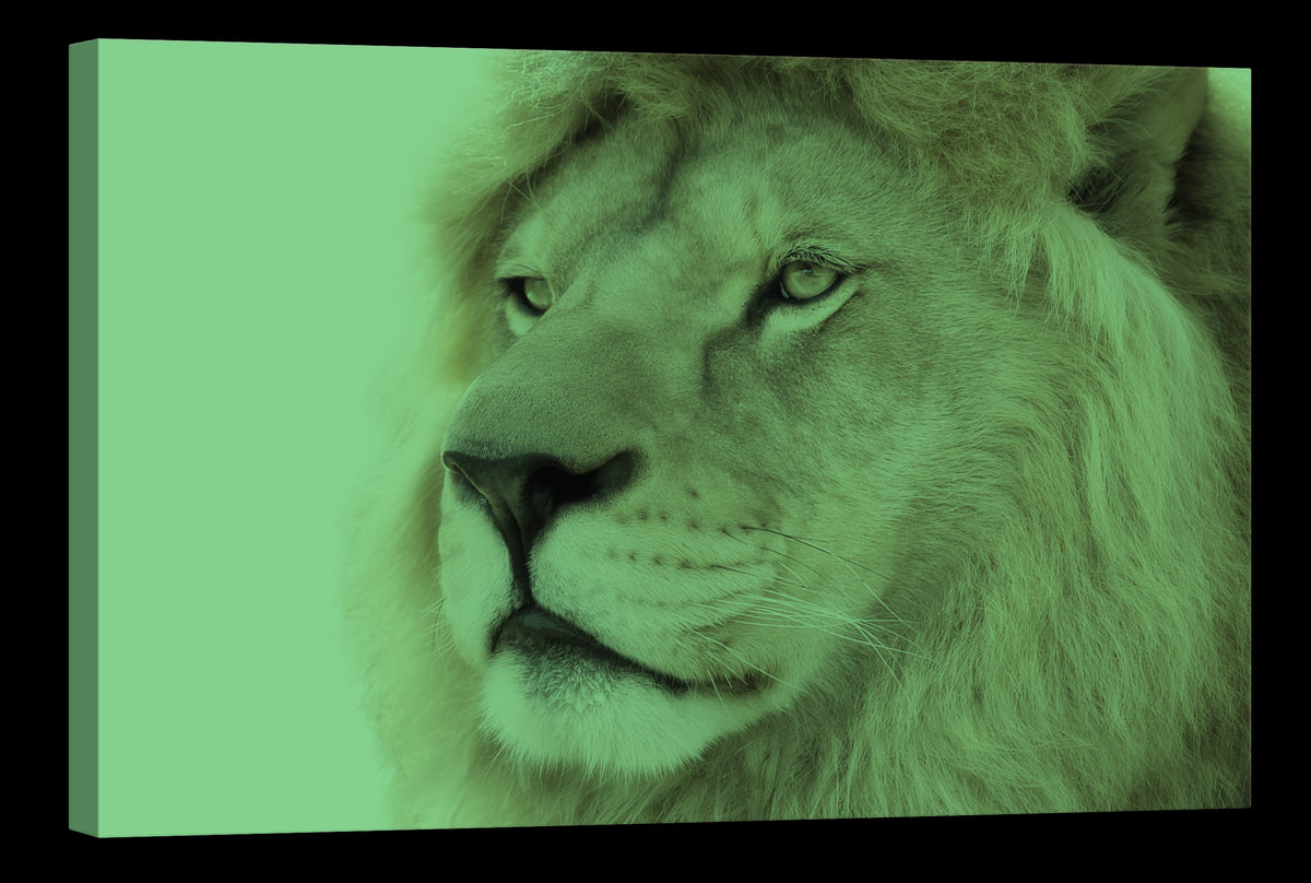 Animals No. 073, glowing at night