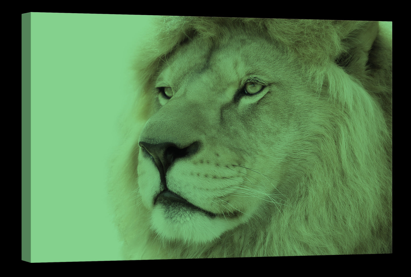 Animals No. 073, glowing at night