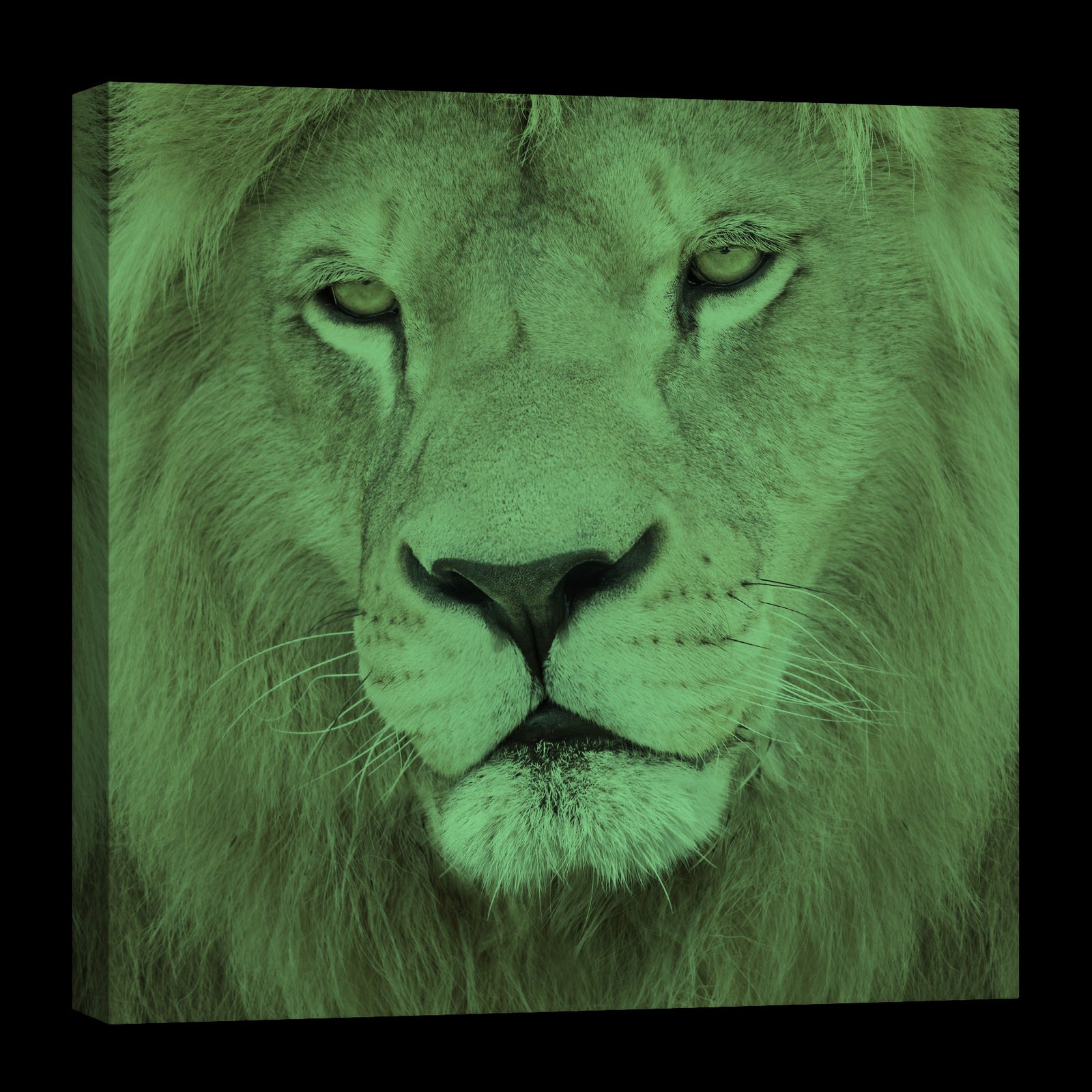 Animals No. 075, glowing at night