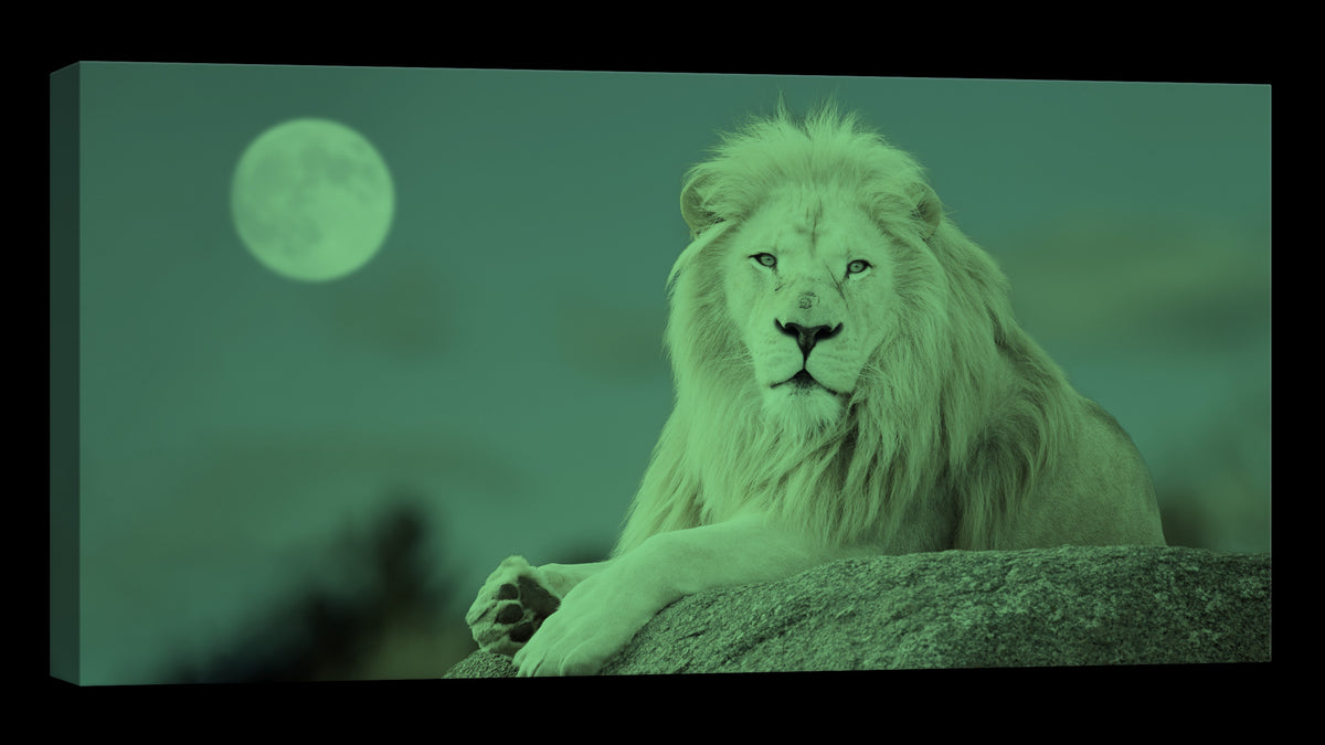 Animals No. 076, glowing at night