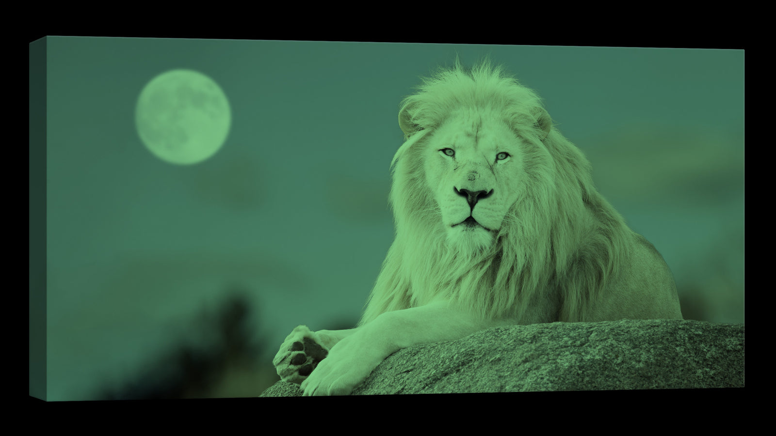 Animals No. 076, glowing at night