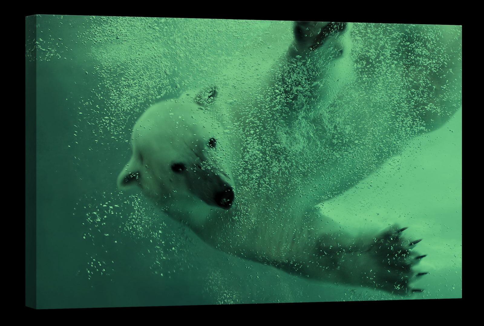 Animals No. 077, glowing at night