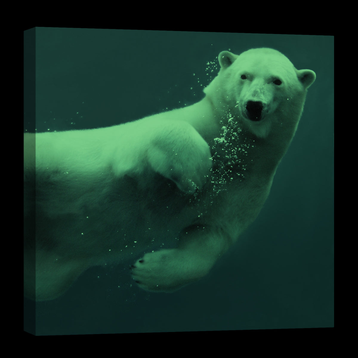 Animals No. 078, glowing at night