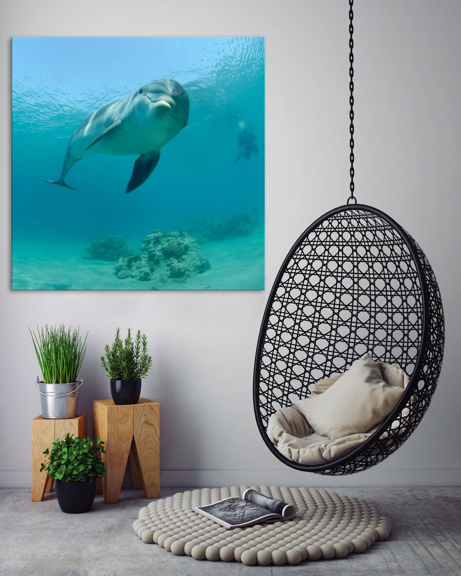 Animals No. 079, shown framed in a room by day