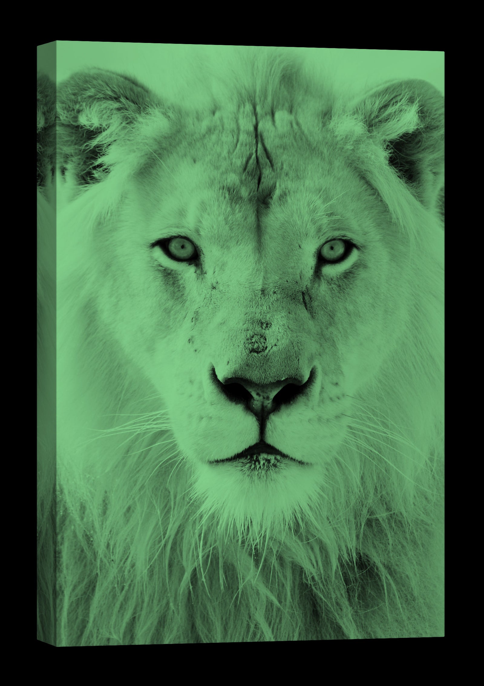 Animals No. 081, glowing at night