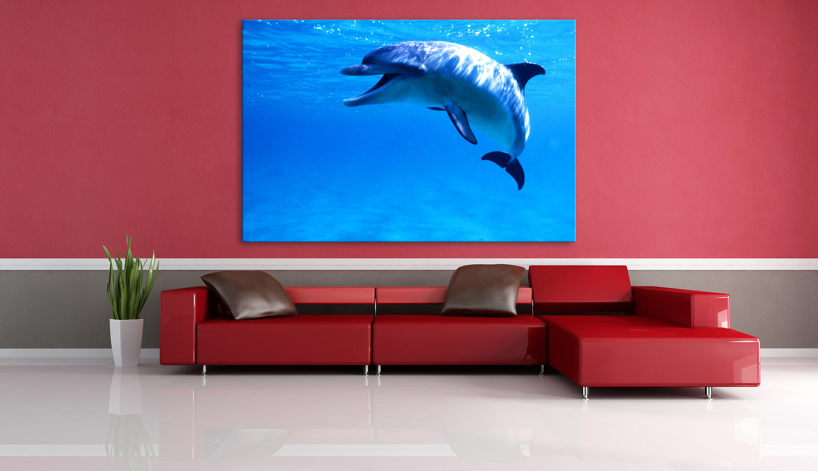 Animals No. 082, shown framed in a room by day