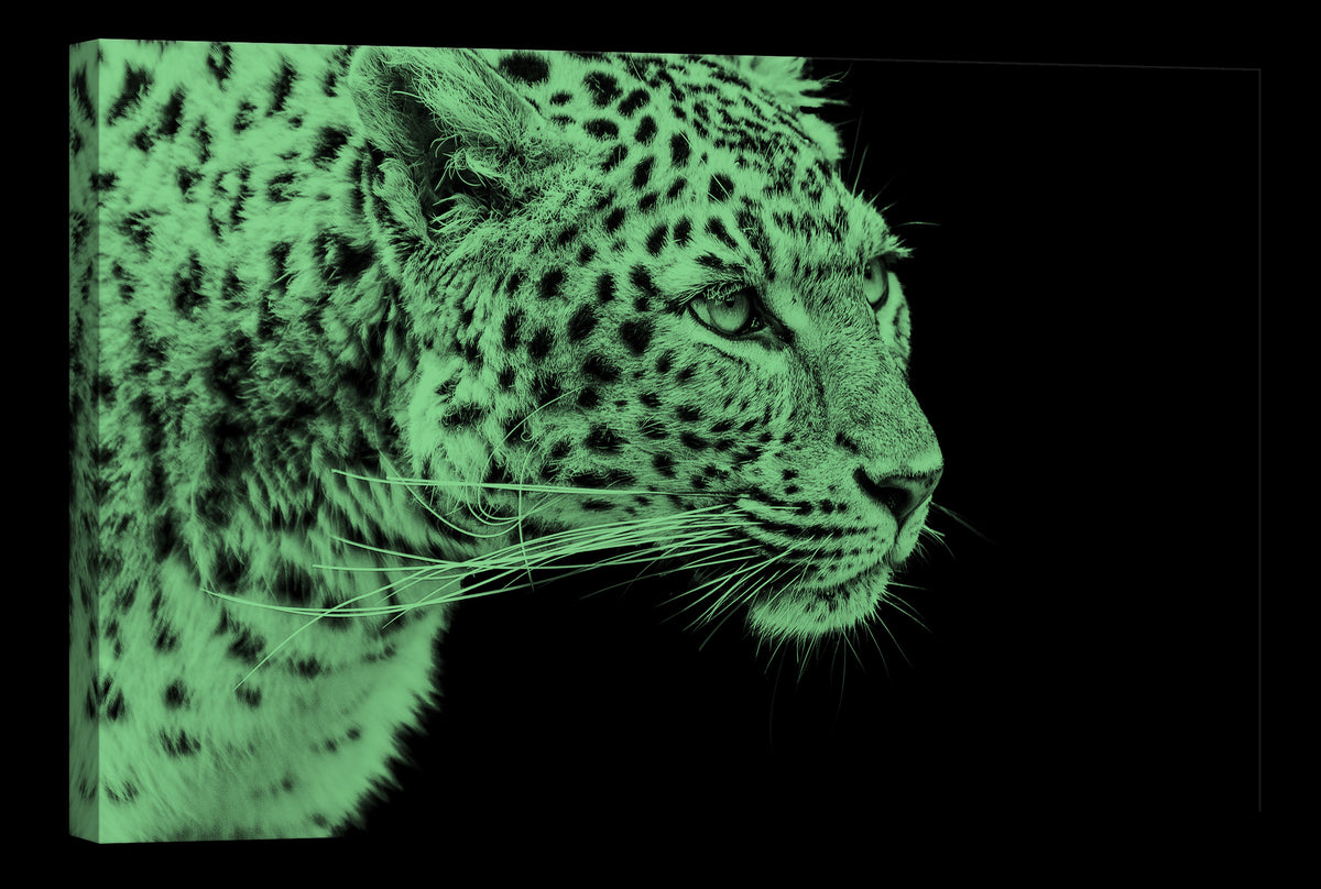 Animals No. 083, glowing at night