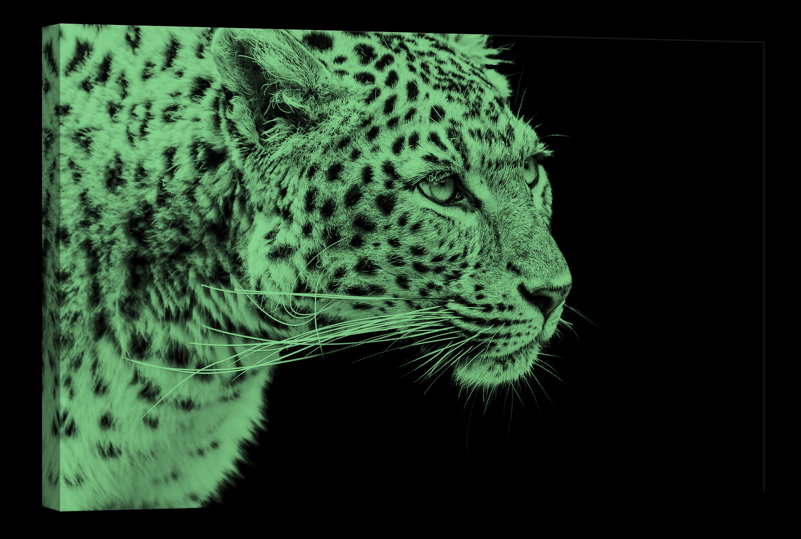 Animals No. 083, glowing at night