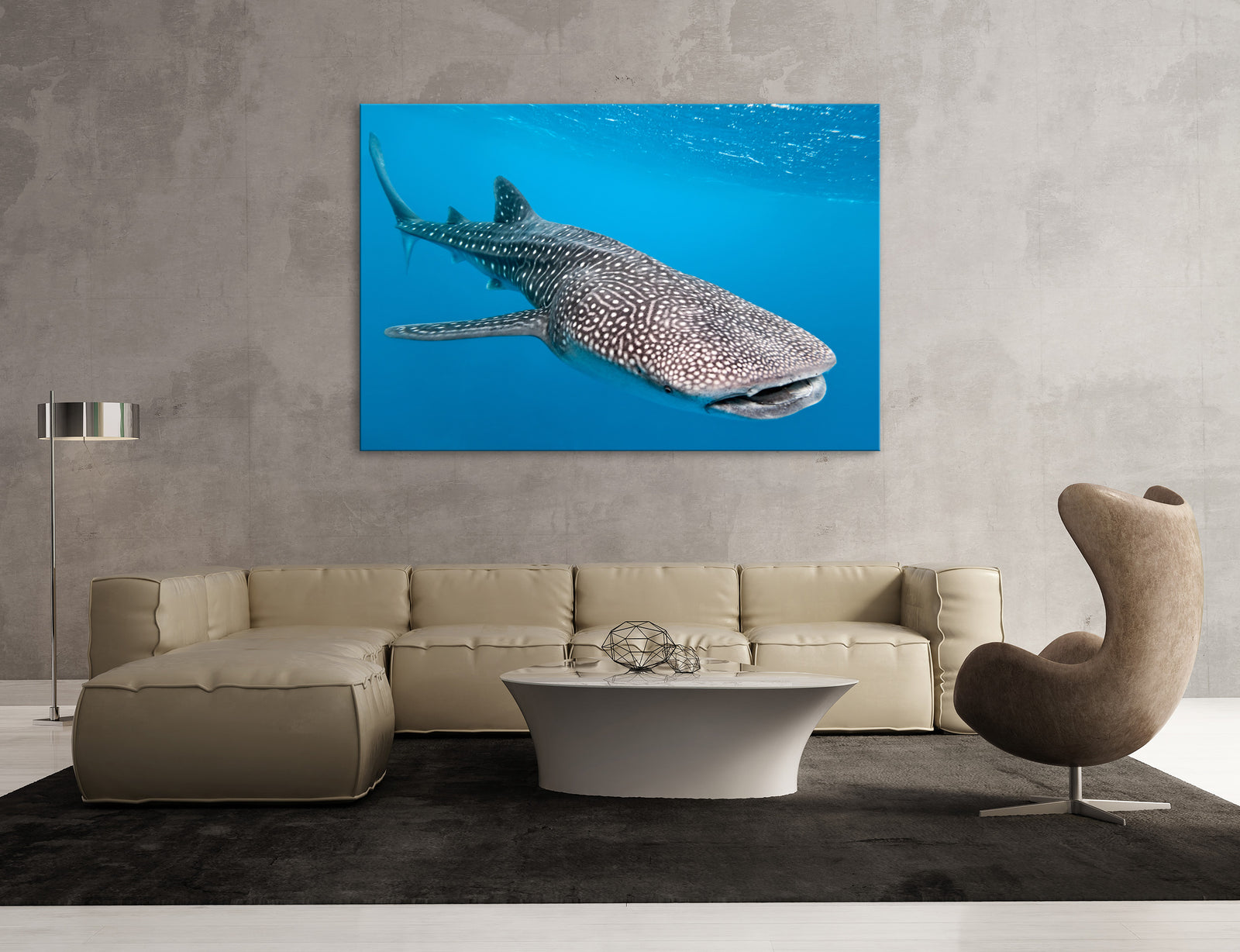 Animals No. 084, shown framed in a room by day