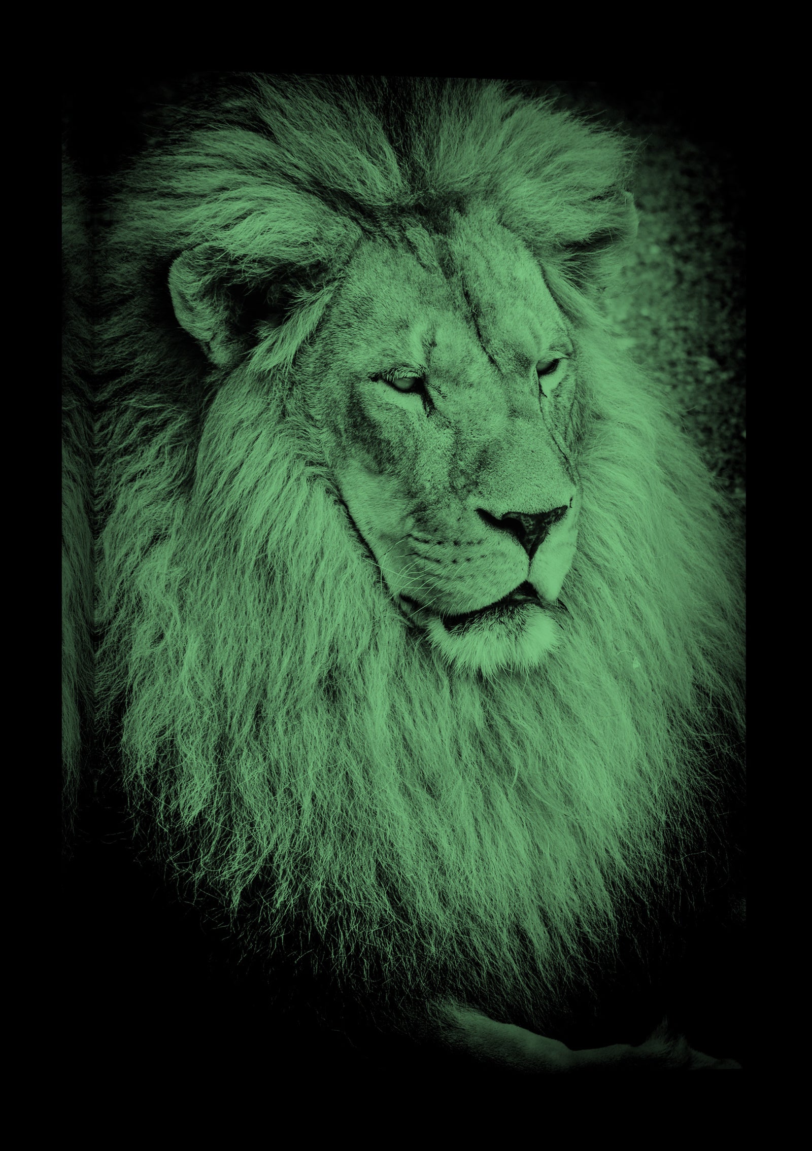 Animals No. 087, glowing at night