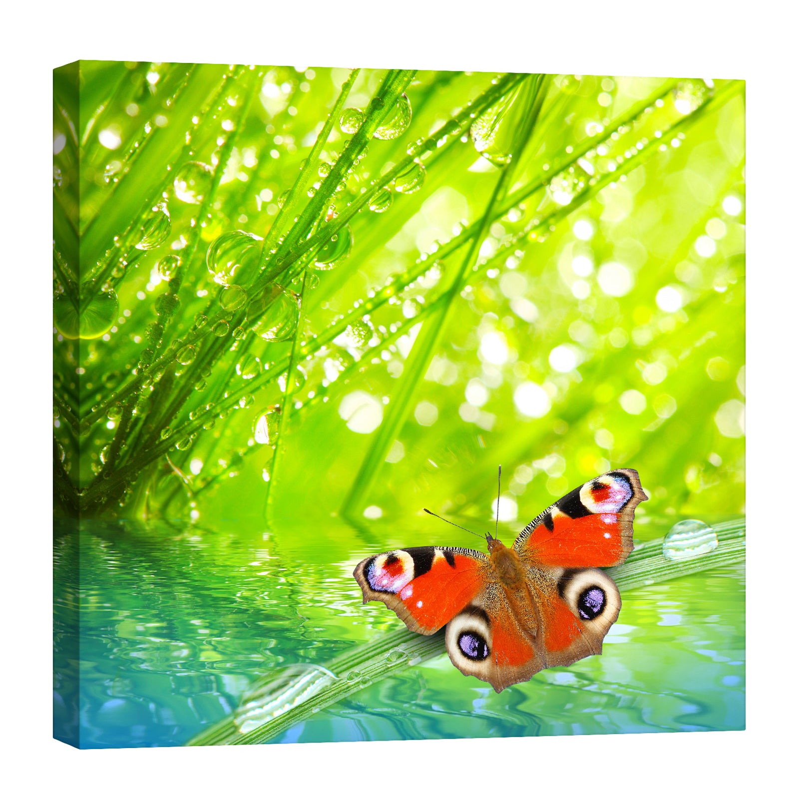 Animals No. 089, by day
