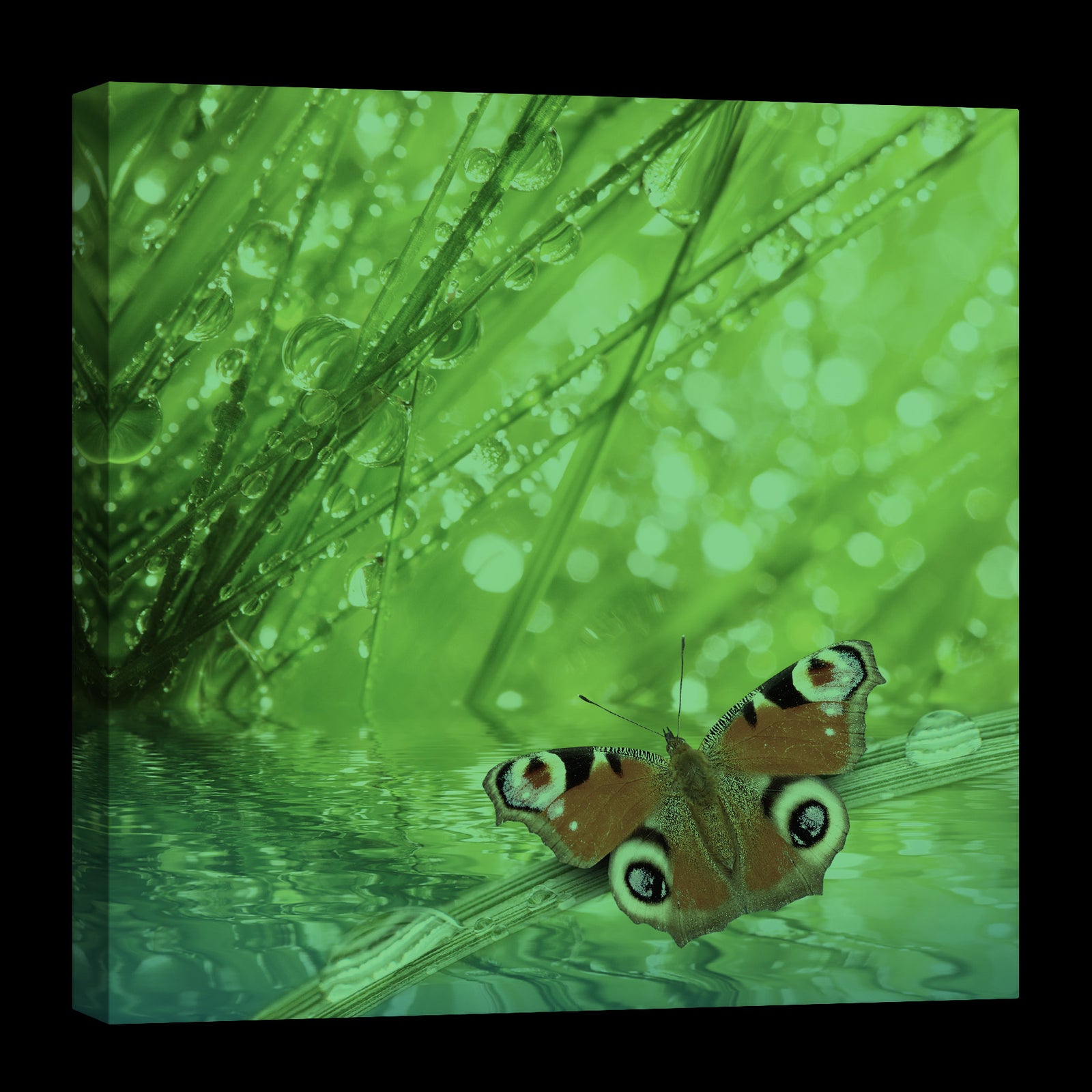 Animals No. 089, glowing at night